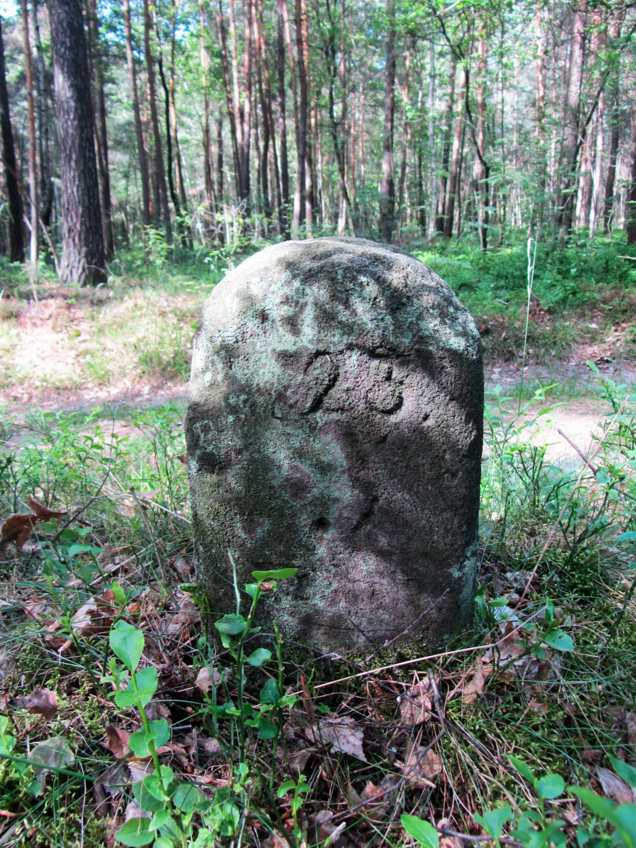 Photo showing: Forstgrenzstein am Alten Ochsensaaler Weg bei Schmannewitz