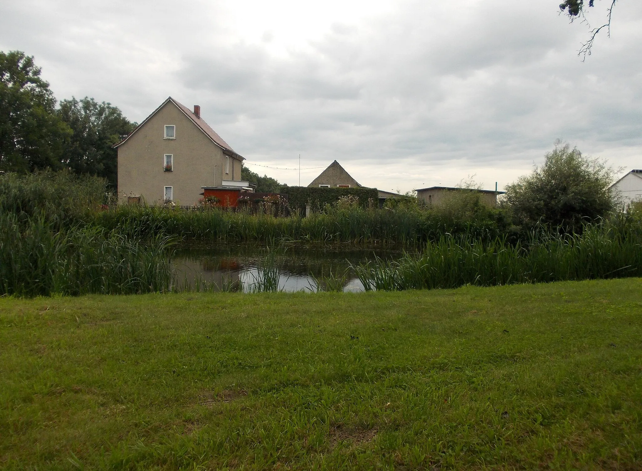 Photo showing: Pond in Ochelmitz (Jesewitz, Nordsachsen district, Saxony)
