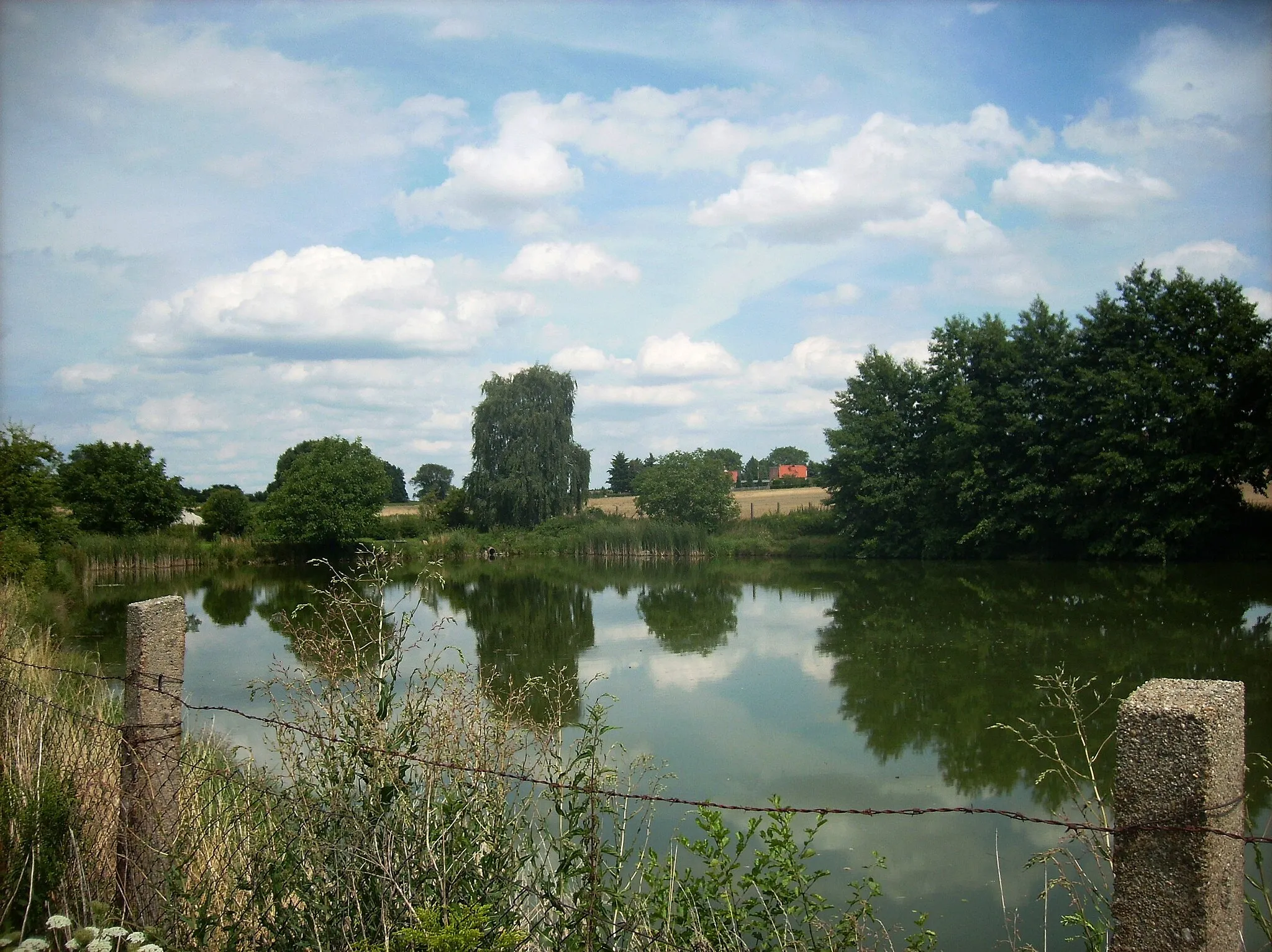 Photo showing: Pond at Gordemitzer Strasse in Dewitz (Taucha, Nordsachsen district, Saxony)