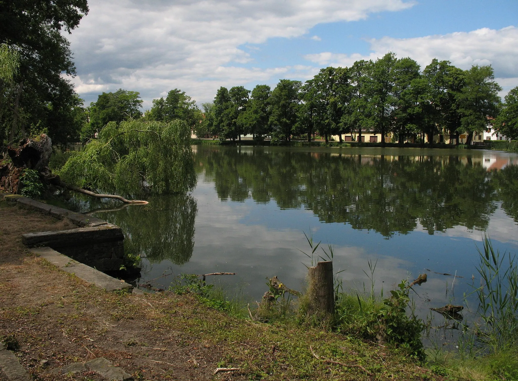 Photo showing: Castle pond in Trossin in Saxony, Germany