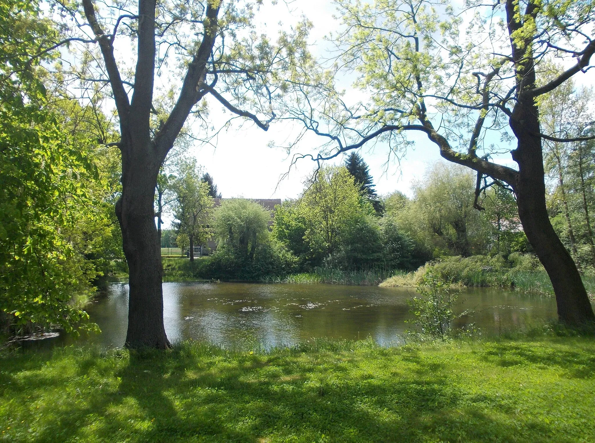 Photo showing: Pond in Nöthnitz (Groitzsch, Leipzig district, Saxony)