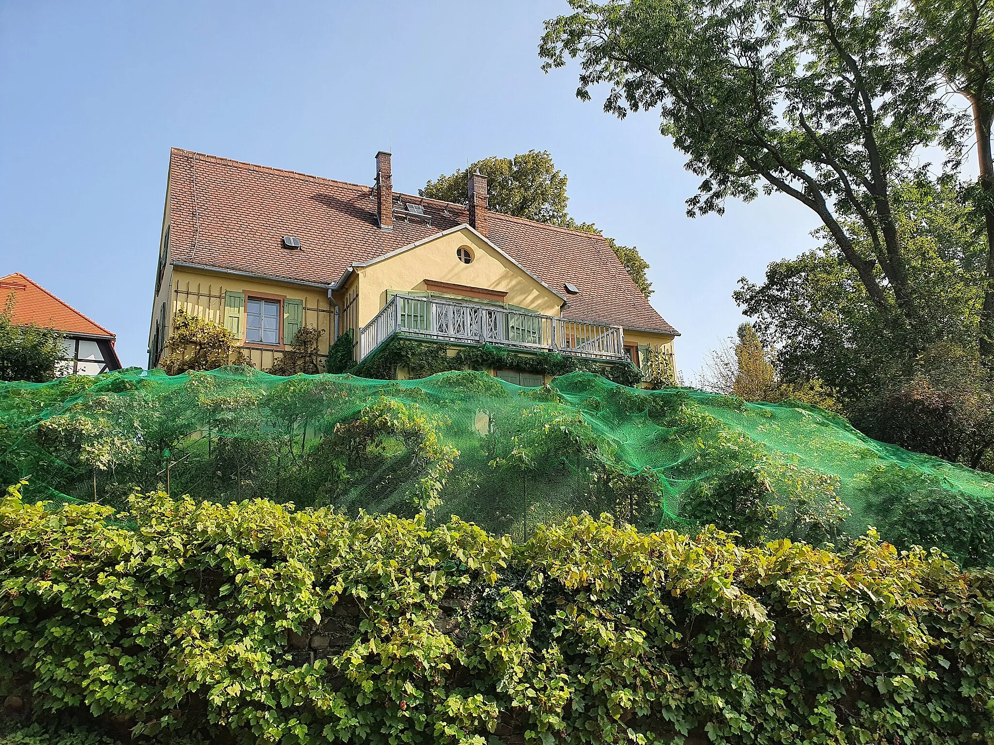 Photo showing: Kulturdenkmal Sachsen: Weinberg am Göschenhaus, Schillerstraße 25 in Hohnstädt (Grimma)