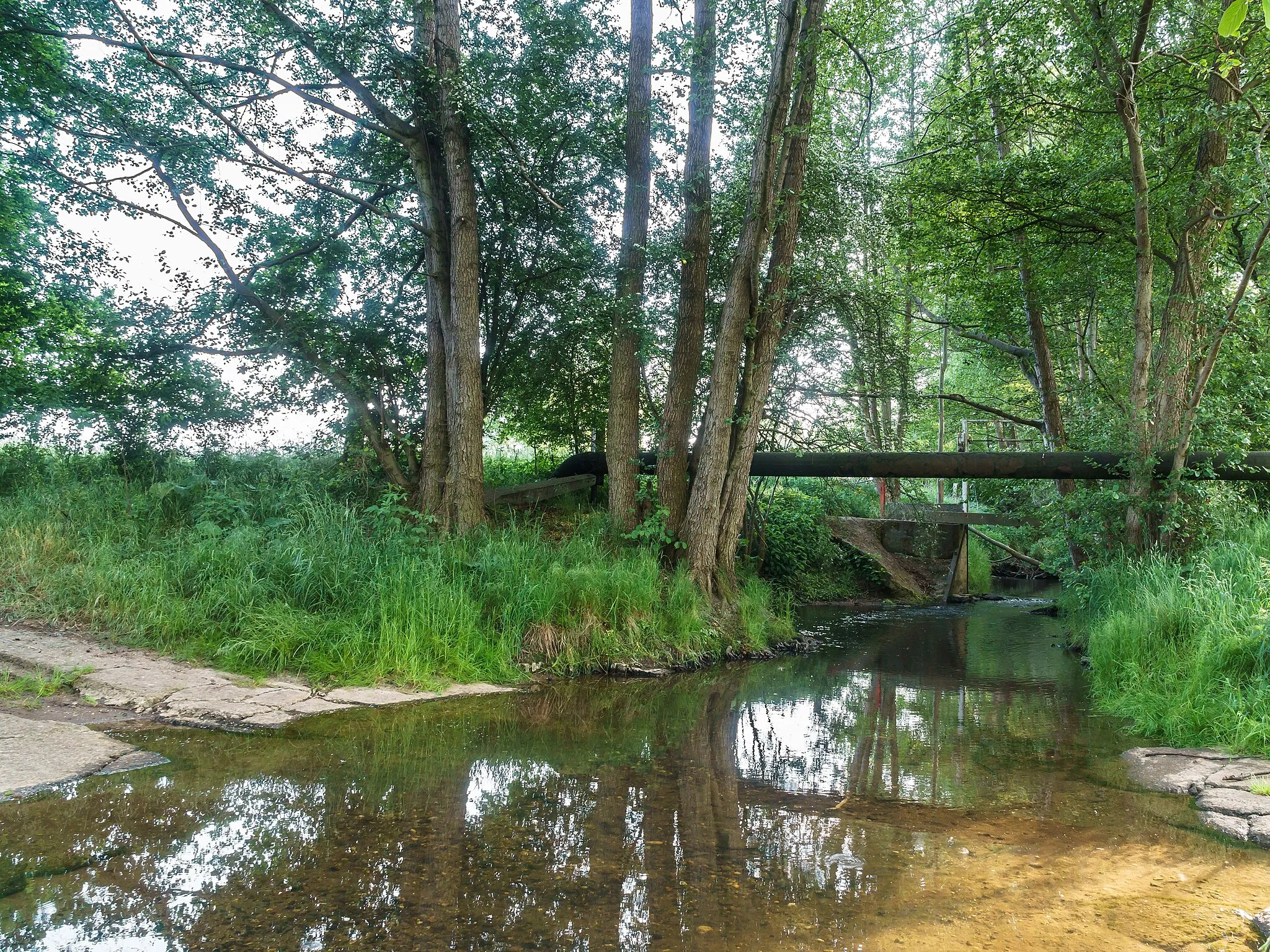 Photo showing: Flächennaturdenkmal Bachwiesen südwestlich von Wellerswalde naturnaher Abschnitt am Nordufer der Luppa in Liebschützberg OT Wellerswalde.  tdo347  nso215