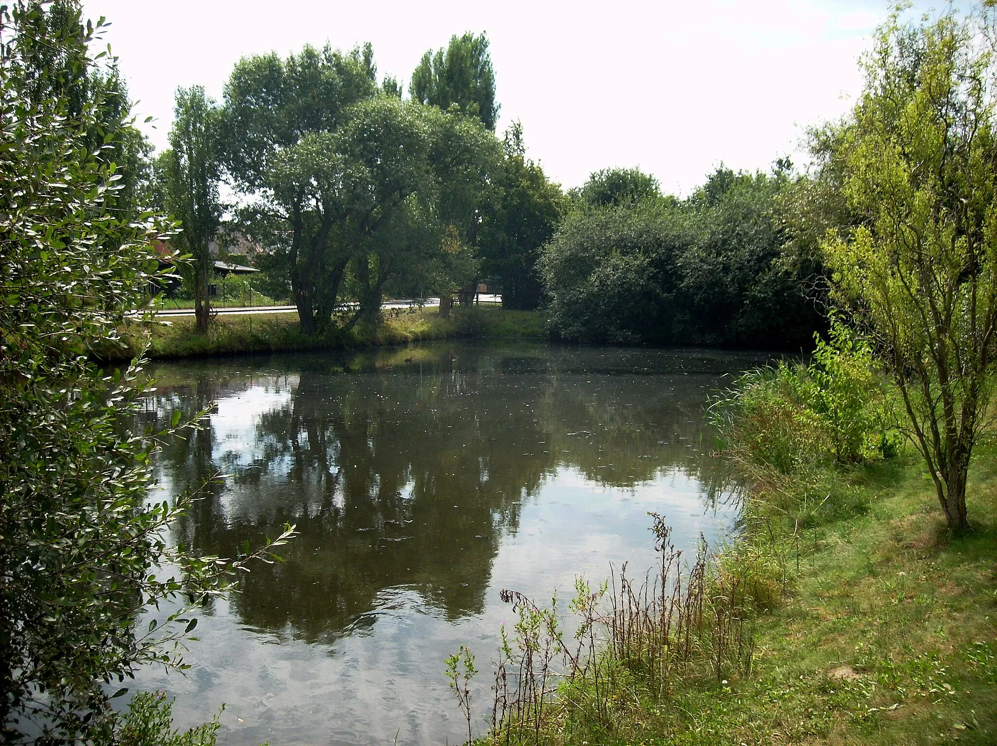 Photo showing: Pond at the northern edge of Seifertshain (Grosspösna, Leipzig district, Saxony)