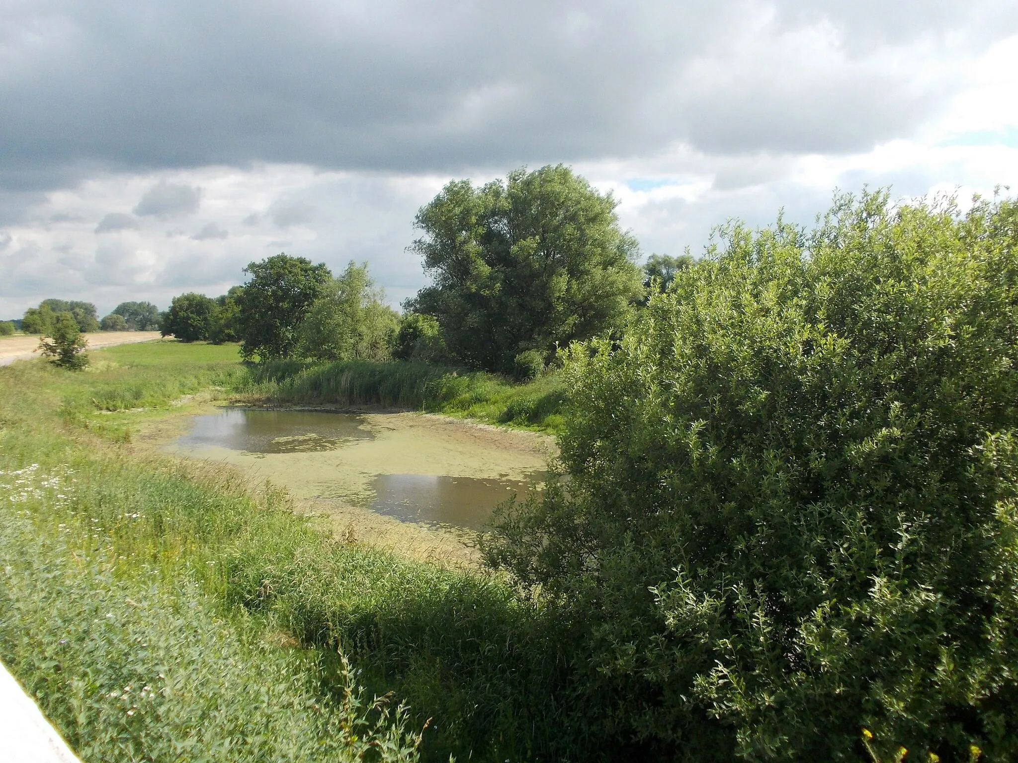 Photo showing: Dead arm of the Mulde river near Niederglaucha (Zschepplin, Nordsachsen district, Saxony), nature reserve Vereinigte Mulde Eilenburg-Bad Düben