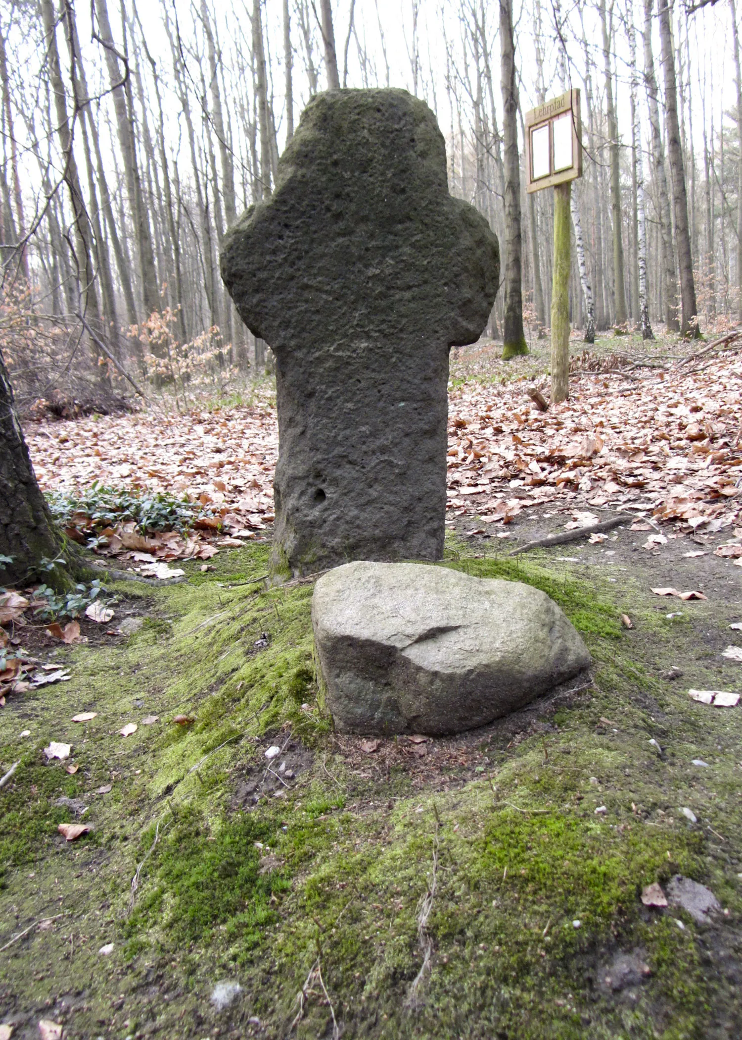 Photo showing: This media shows the protected monument of Saxony with the ID 08974902 KDSa/08974902(other).