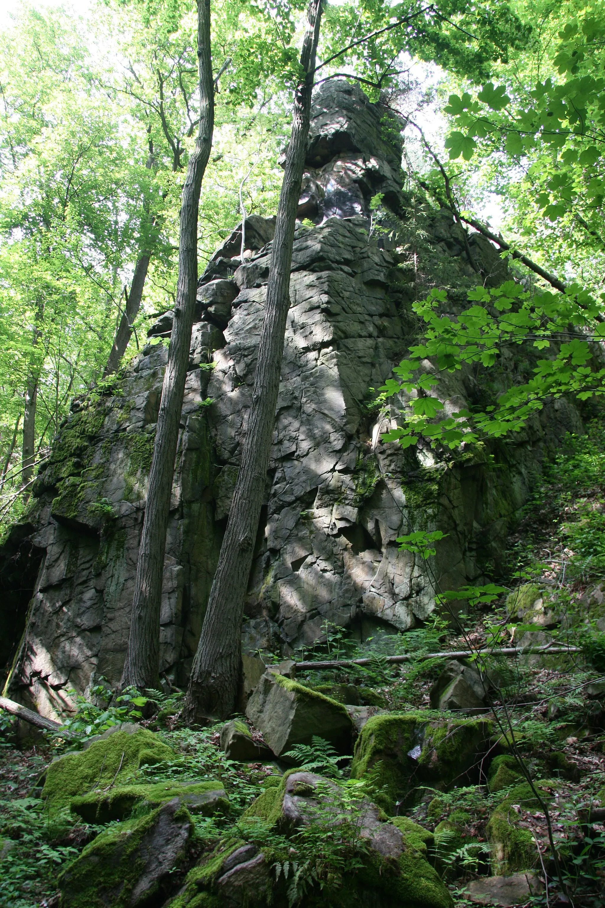Photo showing: Felsen im Tal des Brausebaches bei Rochsburg