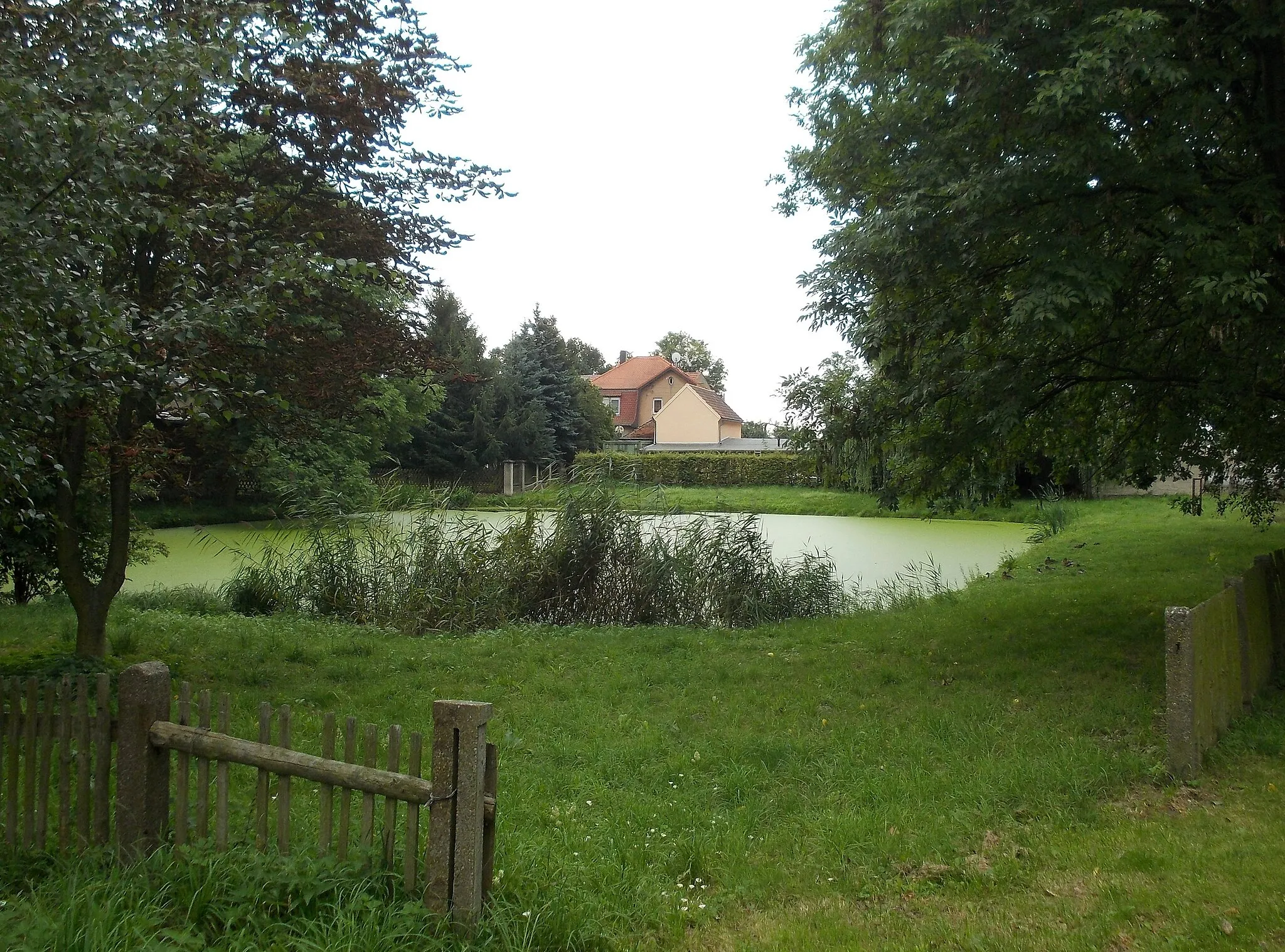 Photo showing: Pond in Mutschlena (Krostitz, Nordsachsen district, Saxony)