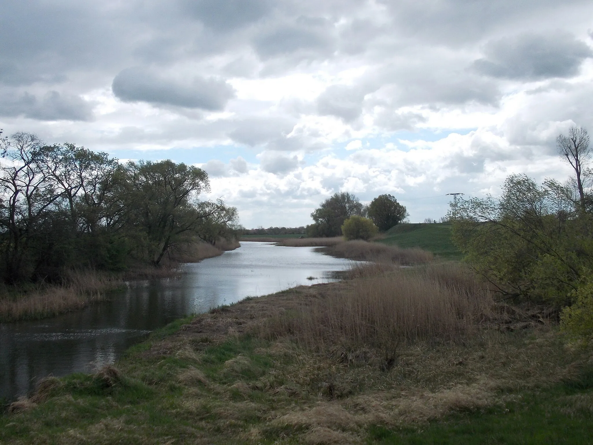 Photo showing: Weinske river near Drebligar (Elsnig, Nordsachsen district, Saxony)