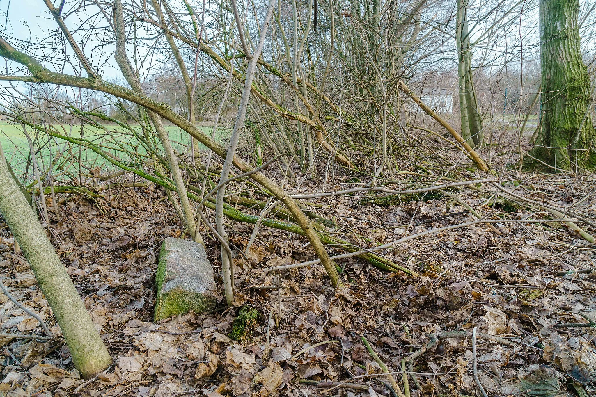 Photo showing: This media shows the protected monument of Saxony with the ID 08973310 KDSa/08973310(other).