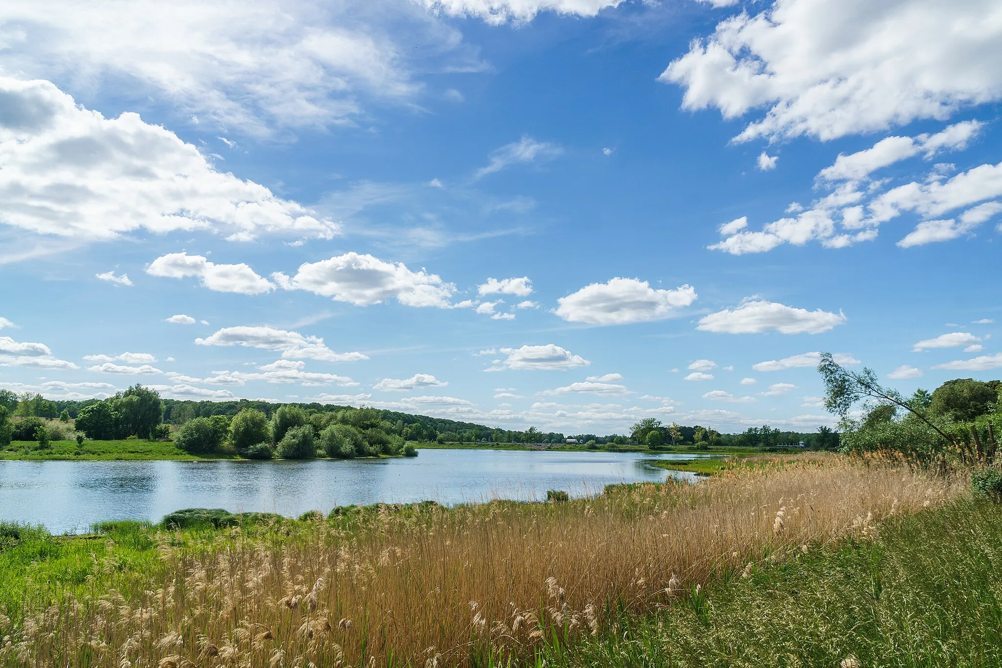 Photo showing: Blick über den Döllnitzsee in Wermsdorf