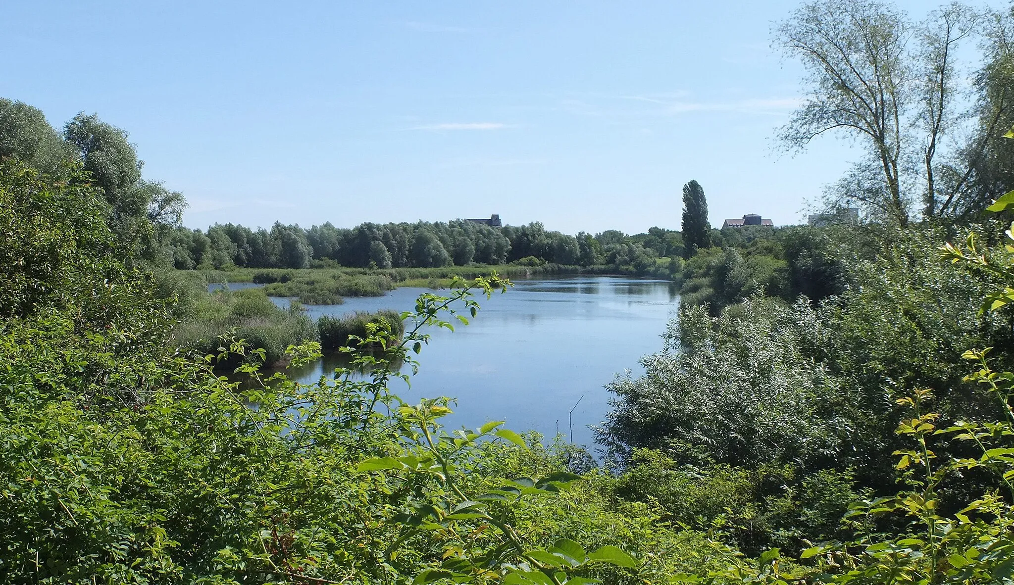 Photo showing: Wiesenlachen in Leipzig-Schönau