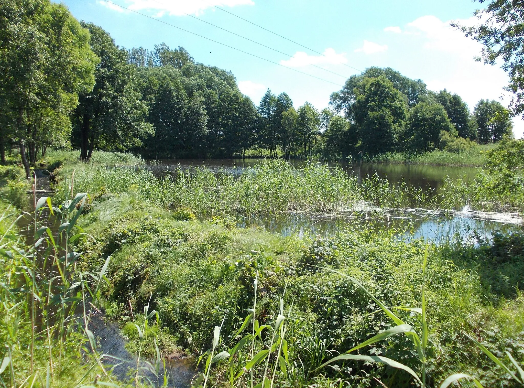 Photo showing: Schösserteich pond near Roda (Grimma, Leipzig district, Saxony)