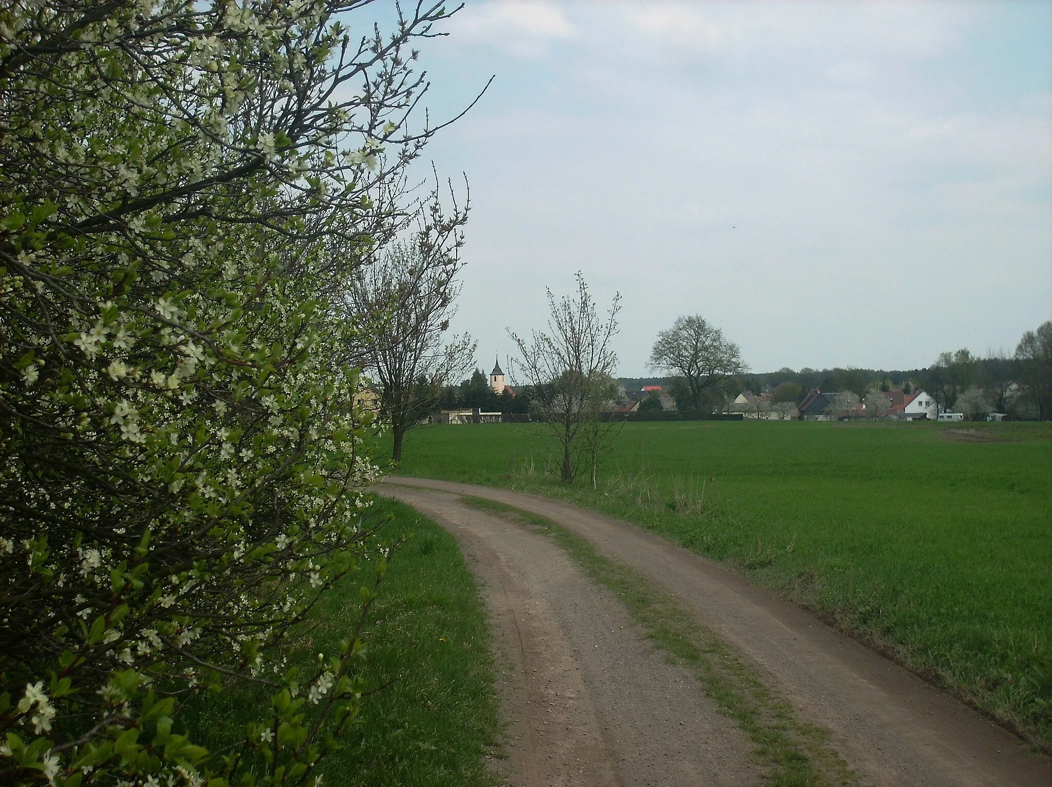 Photo showing: Taura (Schildau, Nordsachsen district, Saxony) from the south-west