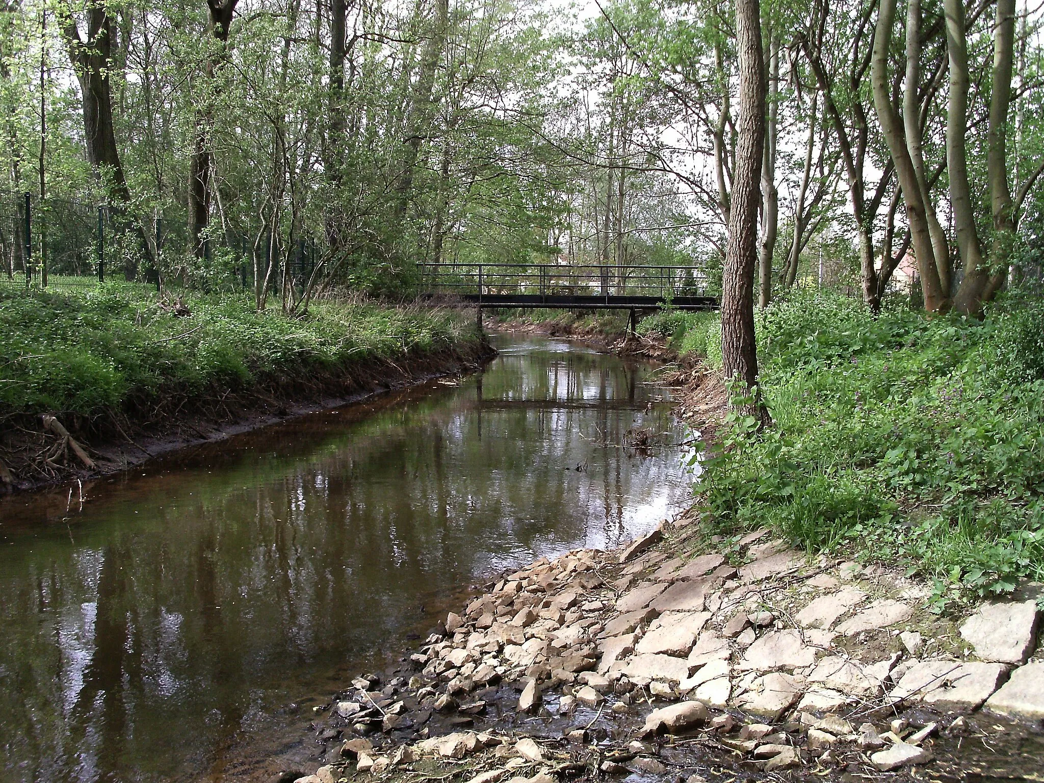 Photo showing: Parthe river at Seegeritz (Taucha, Nordsachsen district, Saxony)