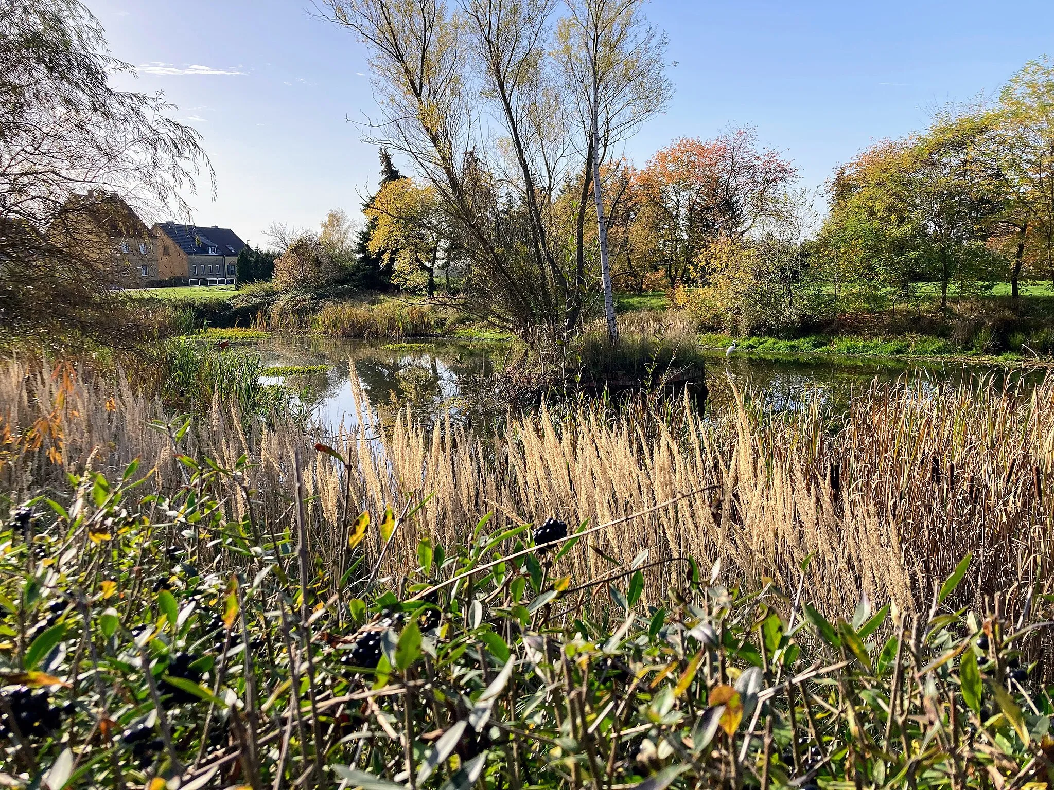 Photo showing: Eutzsch, village pond (2022)