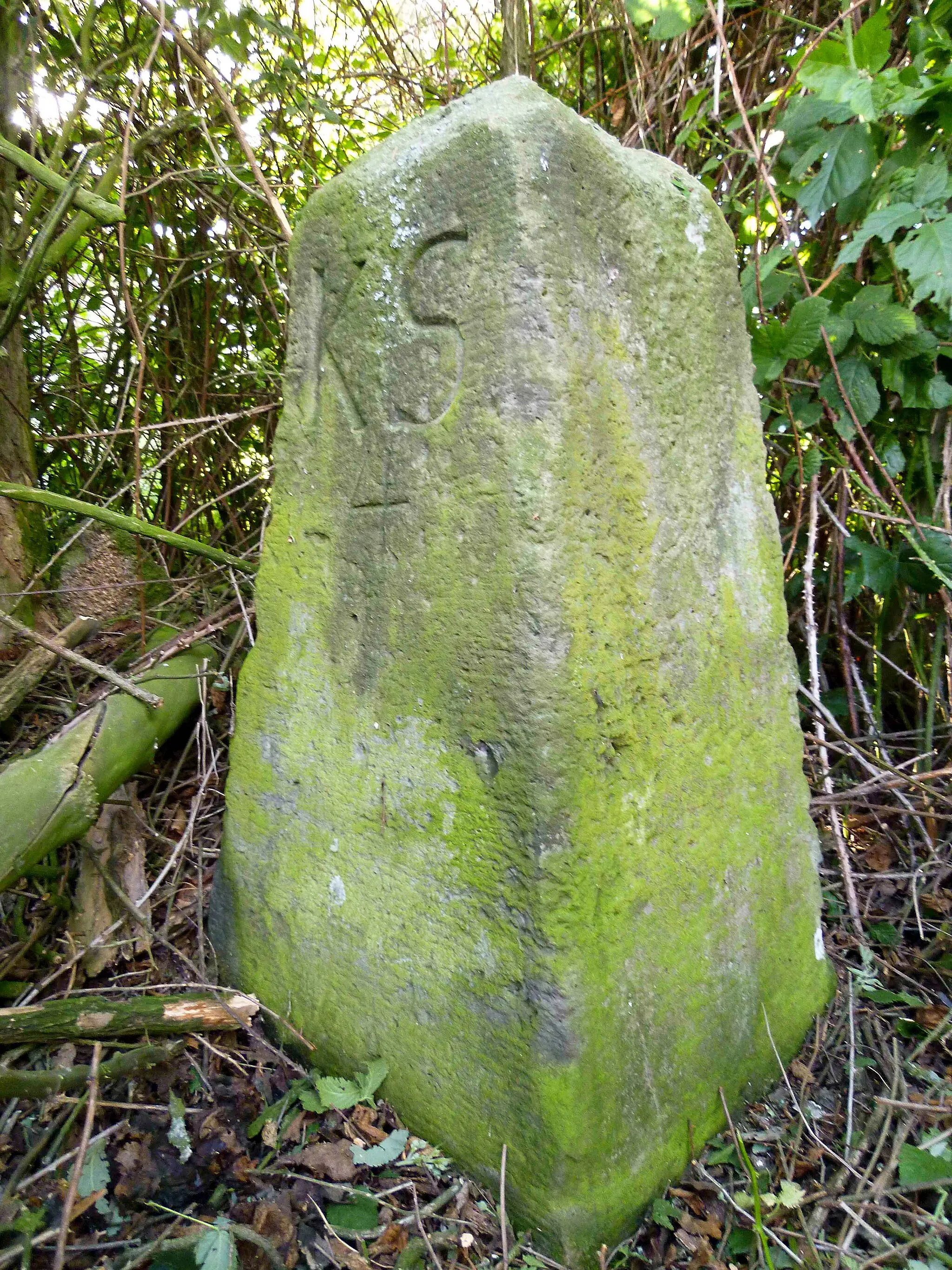 Photo showing: This media shows the protected monument of Saxony with the ID 08972654 KDSa/08972654(other).