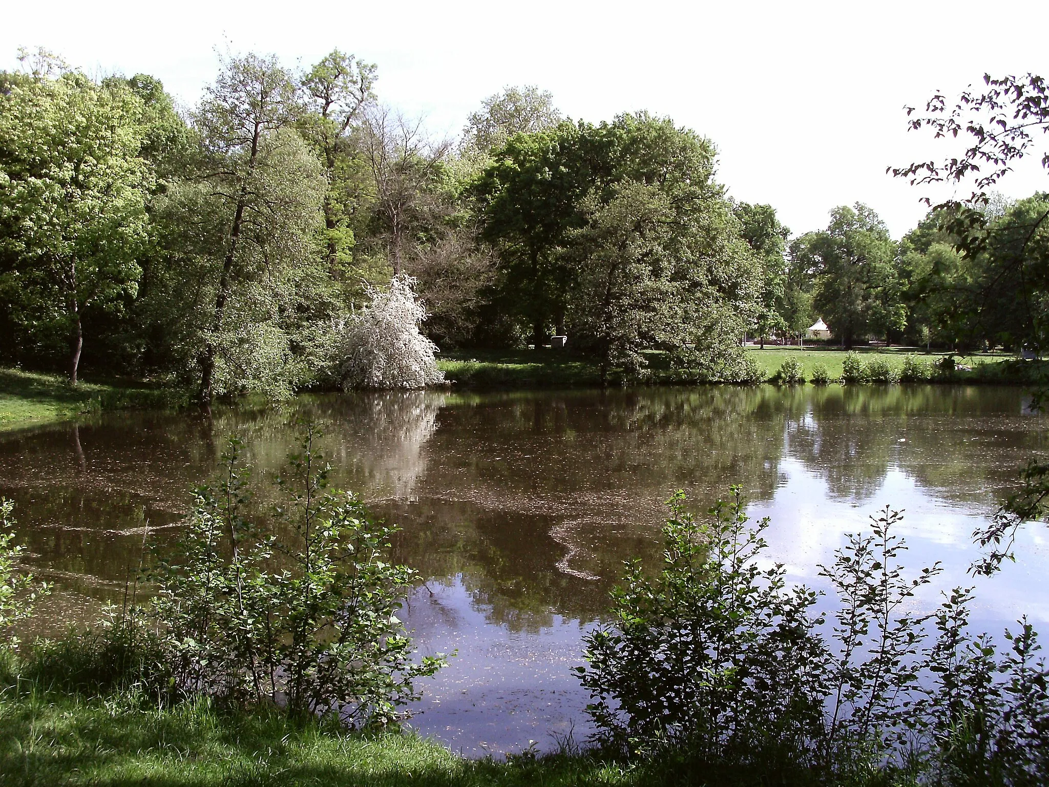 Photo showing: Frog Pond in Clara Zetkin Park in Leipzig (Saxony)