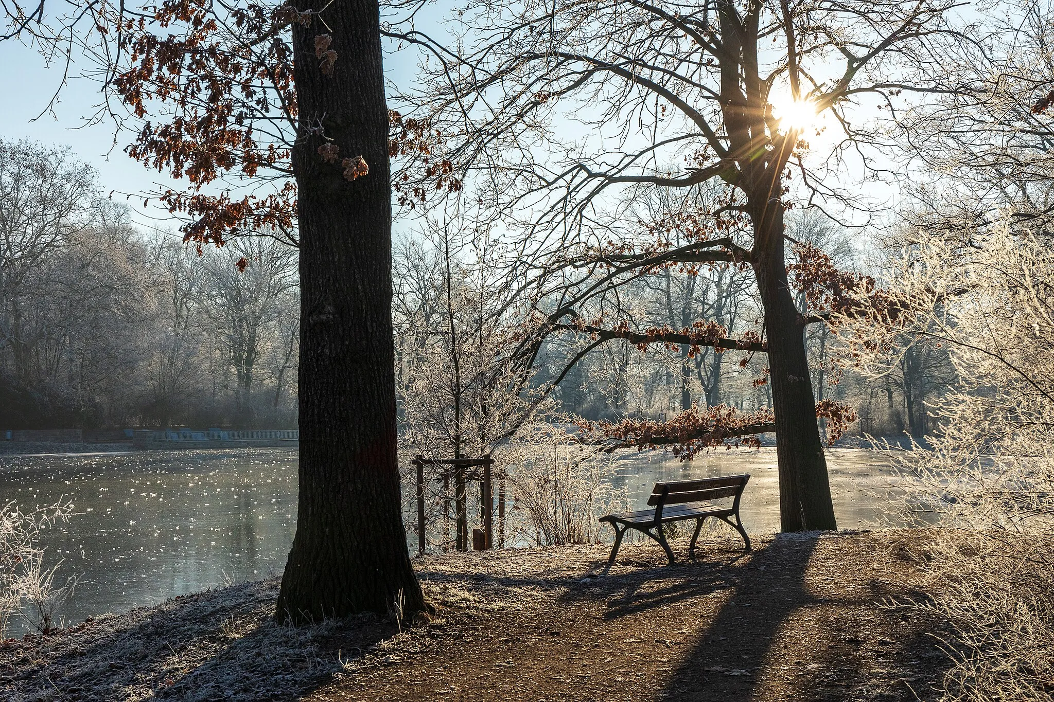 Photo showing: Sunrise on a cold morning in Leipzig's Clara-Zetkin-Park.