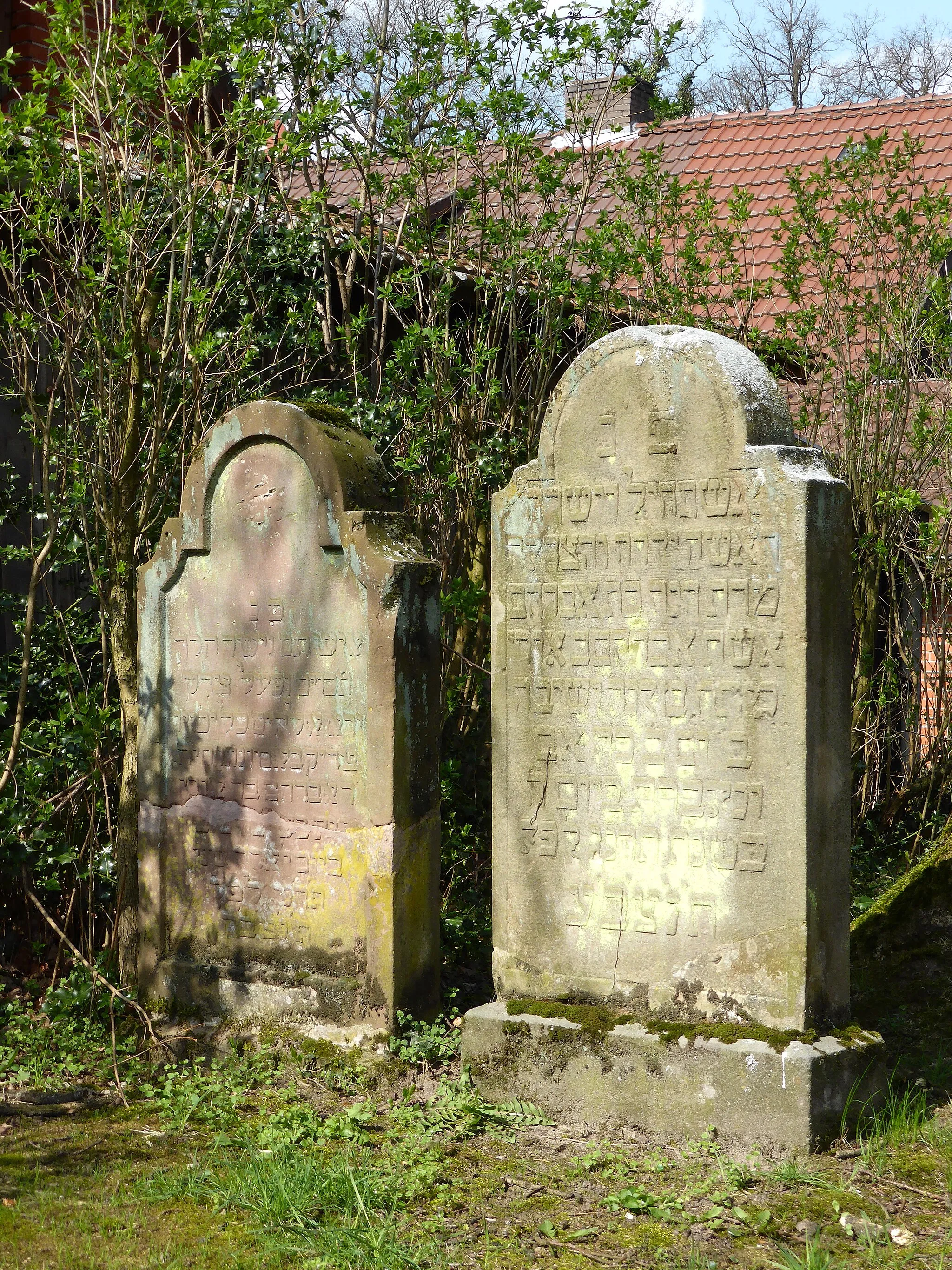 Photo showing: Jewish cemetery in Ahlden (Aller)
