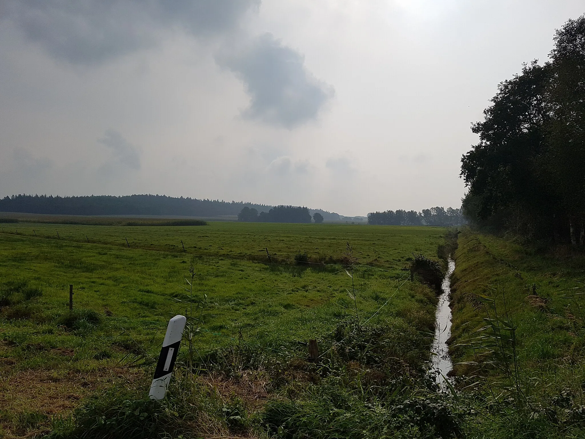 Photo showing: Bultgraven twüschen Klint un Ihlbeek