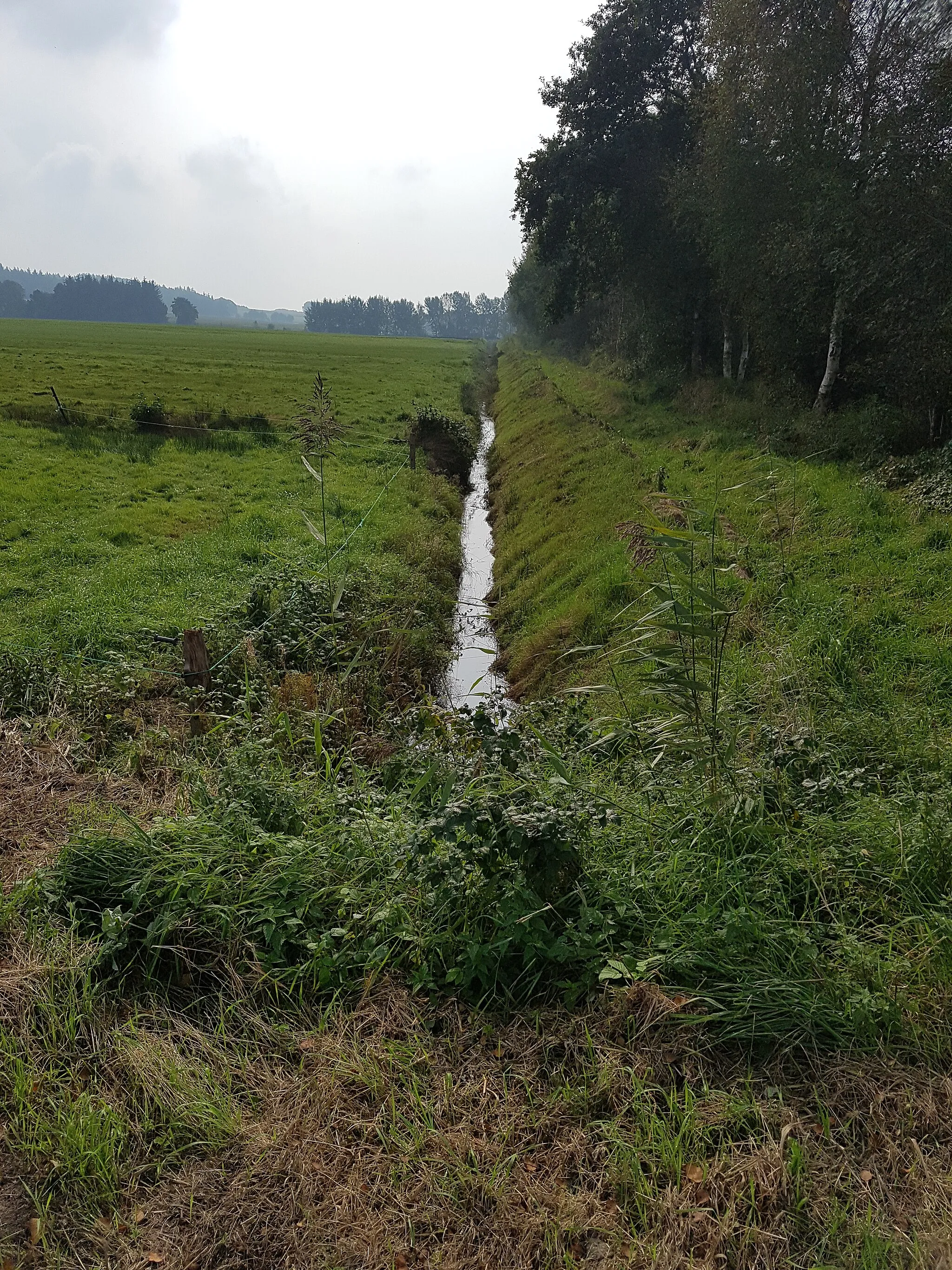 Photo showing: Bultgraven twüschen Klint un Ihlbeek