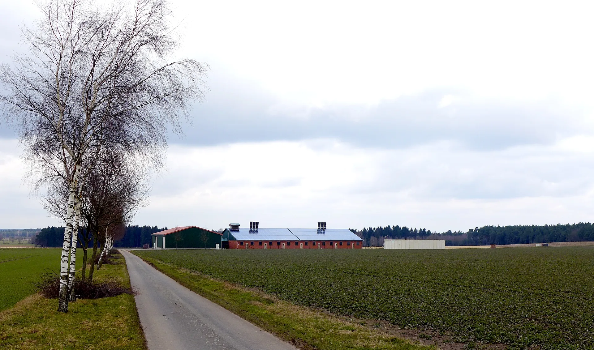 Photo showing: Schweinemastanlage in Nindorf (Bergen Krs. Celle). Aufnahmedatum 2016-03.