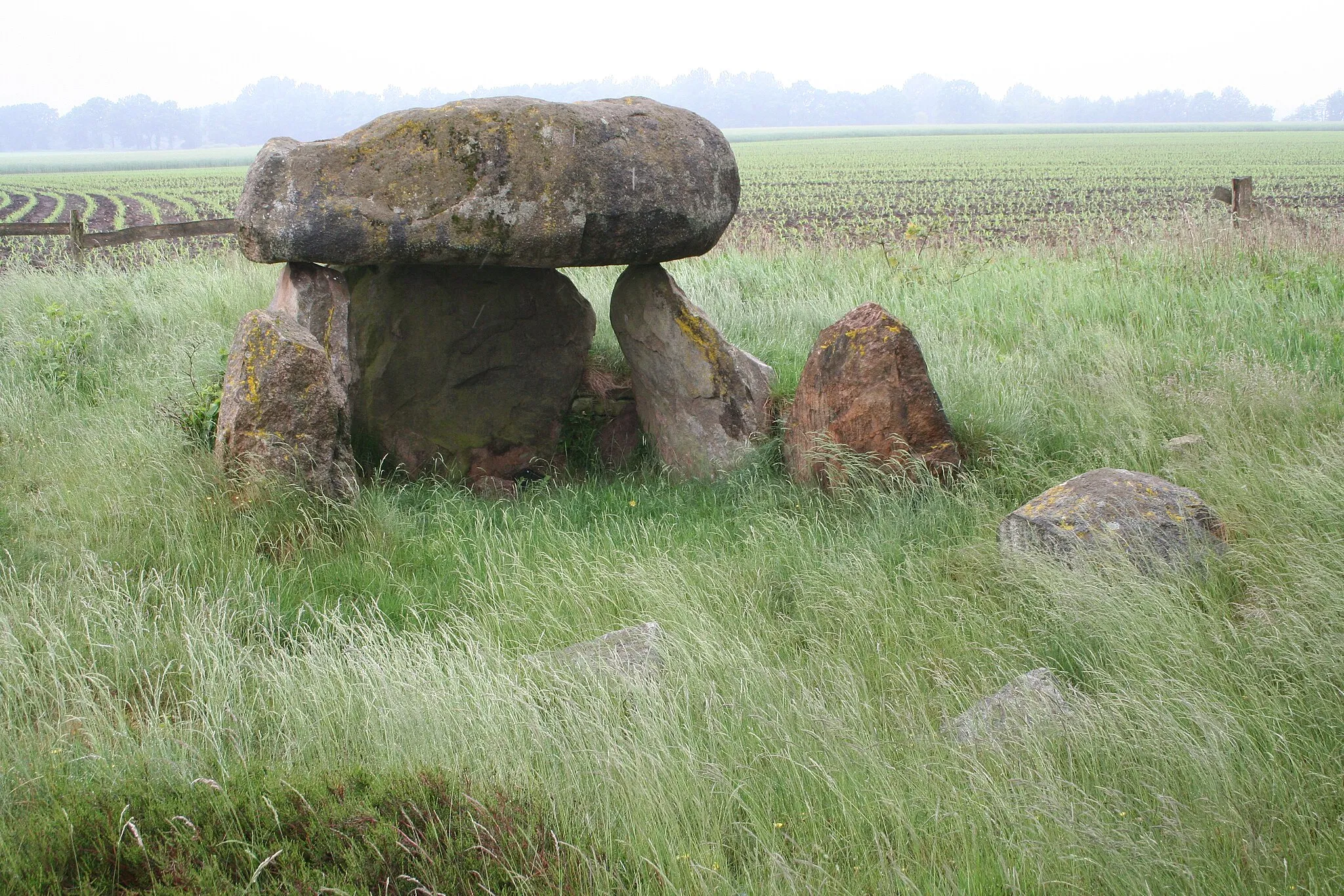 Photo showing: Megalithic tomb Badenstedt