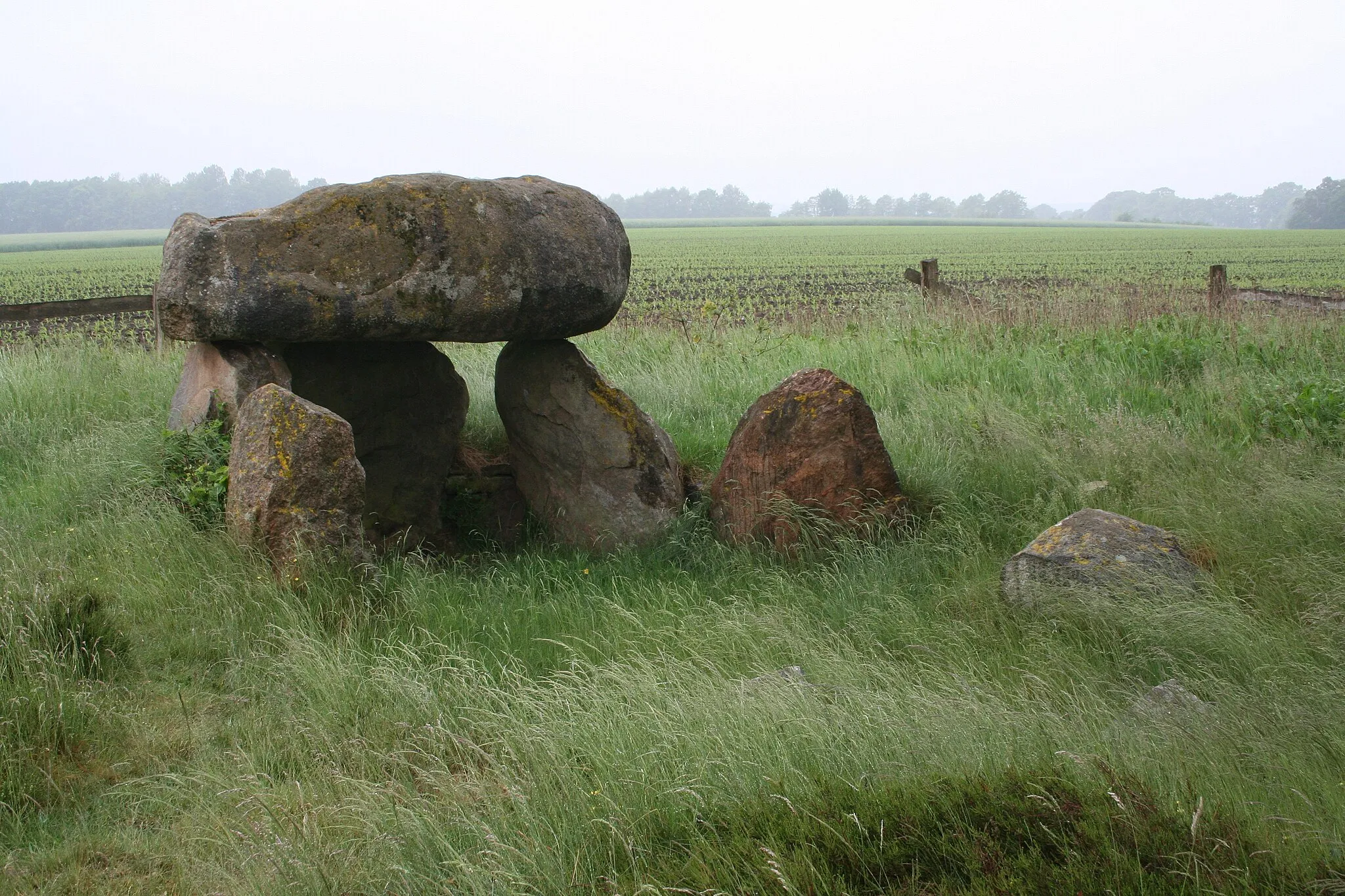 Photo showing: Megalithic tomb Badenstedt