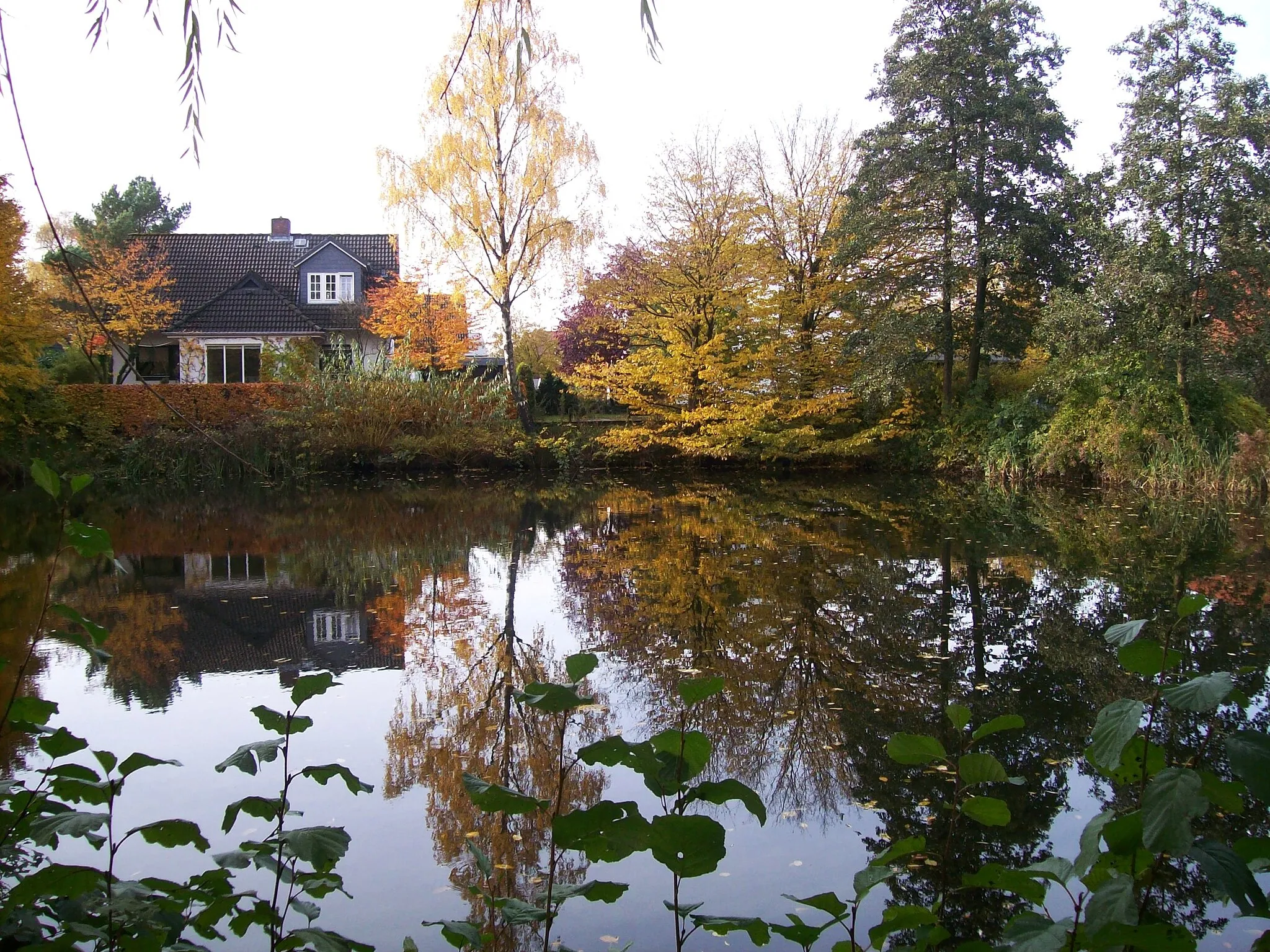 Photo showing: Salteich in Reinbek-Schönningstedt