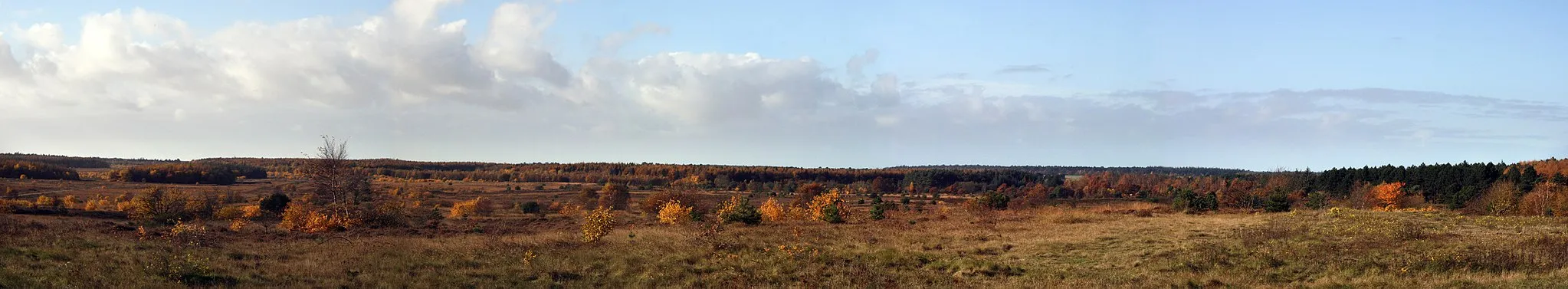 Photo showing: Nature reserve Küstenheide near Altenwalde, Cuxhaven, Germany at the beginning of November. View to the west