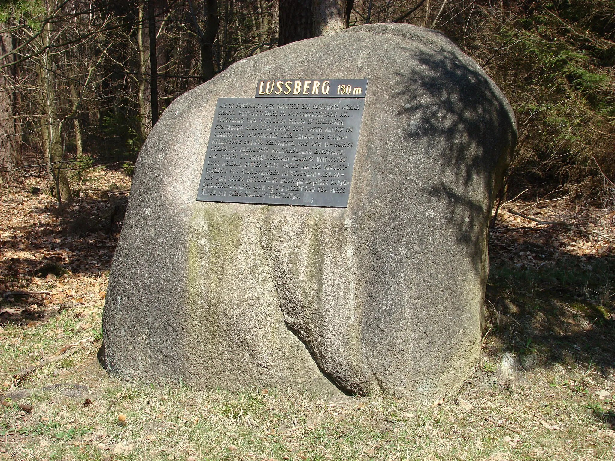 Photo showing: Gedenkstein auf dem Lüßberg im Lüßwald zur Sturmkatastrophe 1972, Niedersachsen