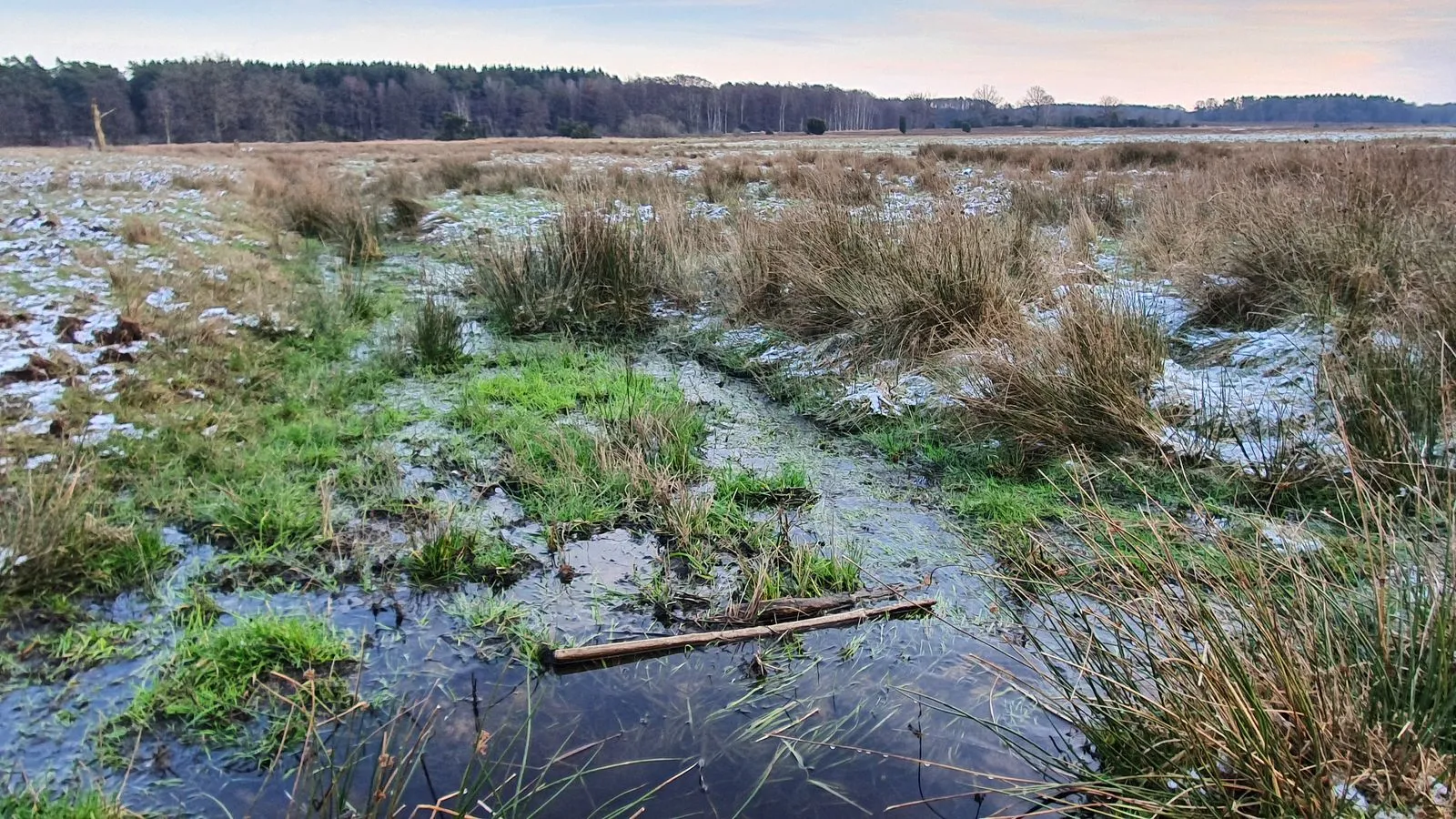 Photo showing: Kiesmoorbach (Schmale Aue)