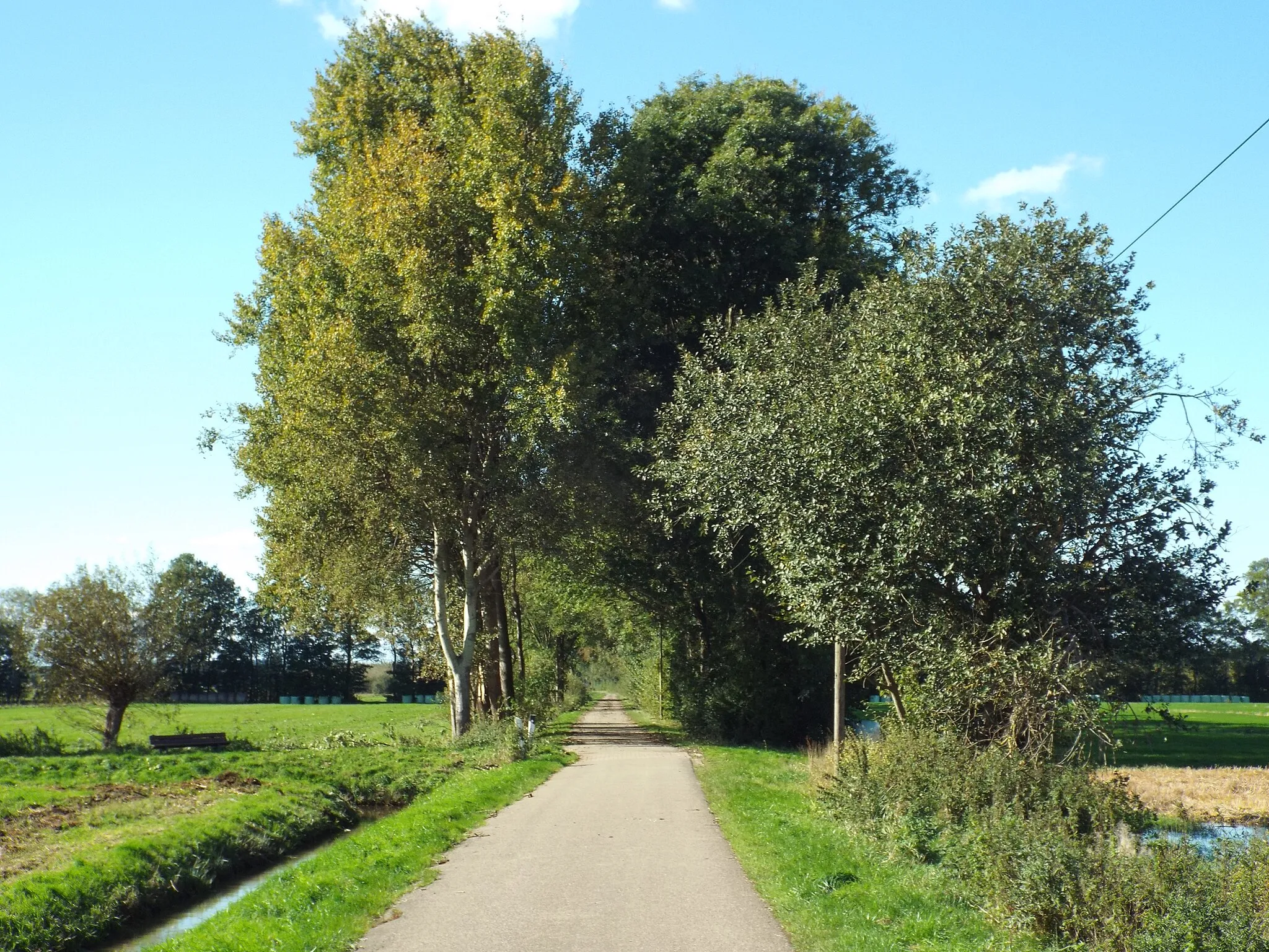 Photo showing: Der  Weg führt in die Stöckter Feldmark