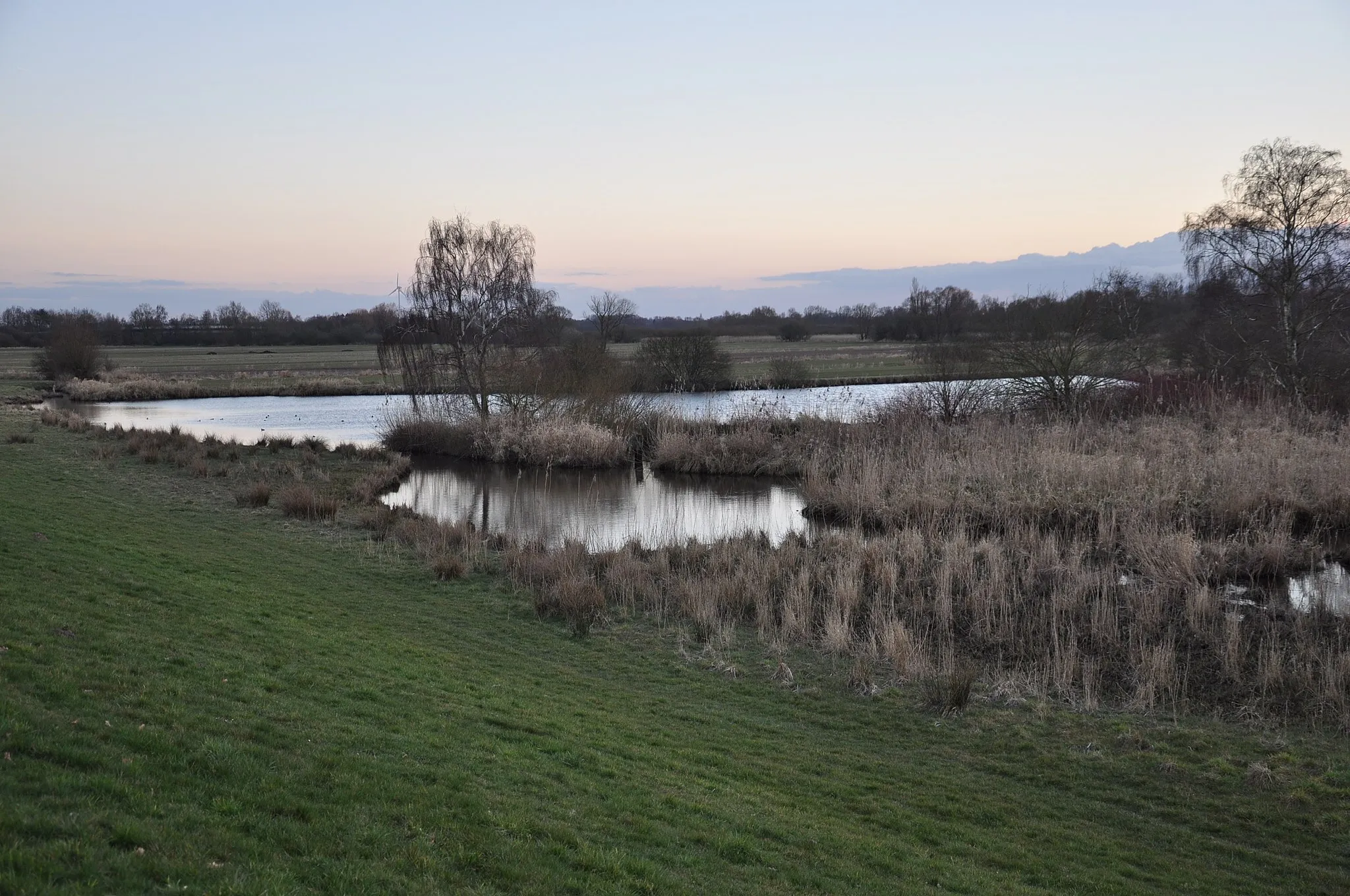 Photo showing: Blick auf das Naturschutzgebiet Ilmenau-Luhe-Niederung vom Ilmenaudeich bei Laßrönne