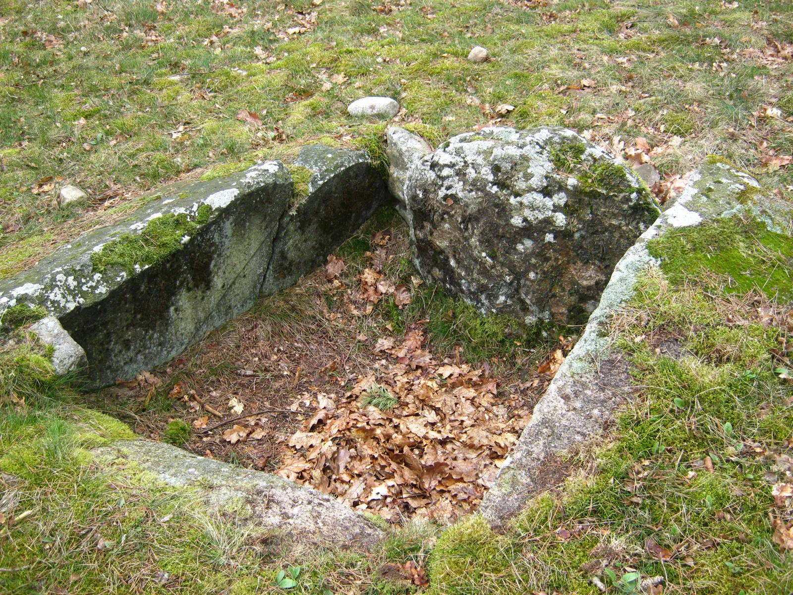 Photo showing: Steinkiste eines Dolmengrabes 2500 v.Chr. bei Rolfsen in der Lüneburger Heide.