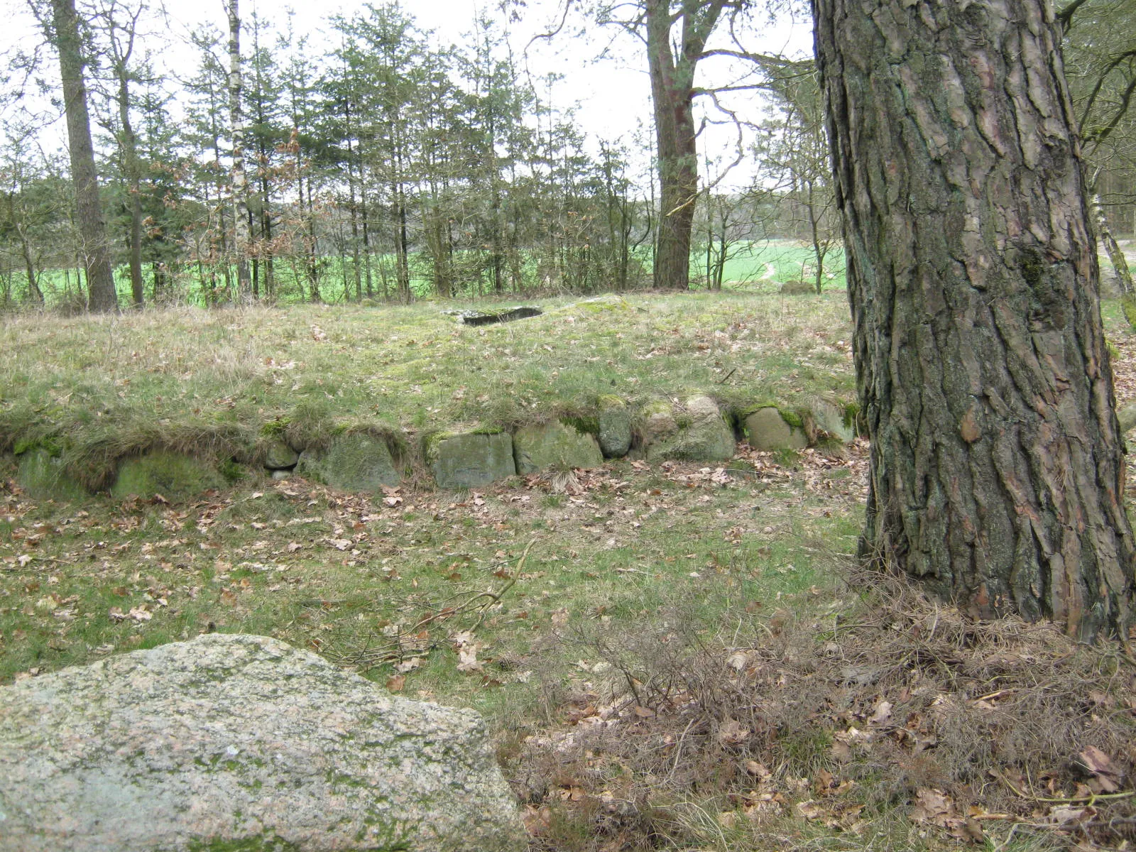 Photo showing: Dolmengrab mit Steinkiste in der Mitte in der Nähe von Rolfsen bei Lüneburg.