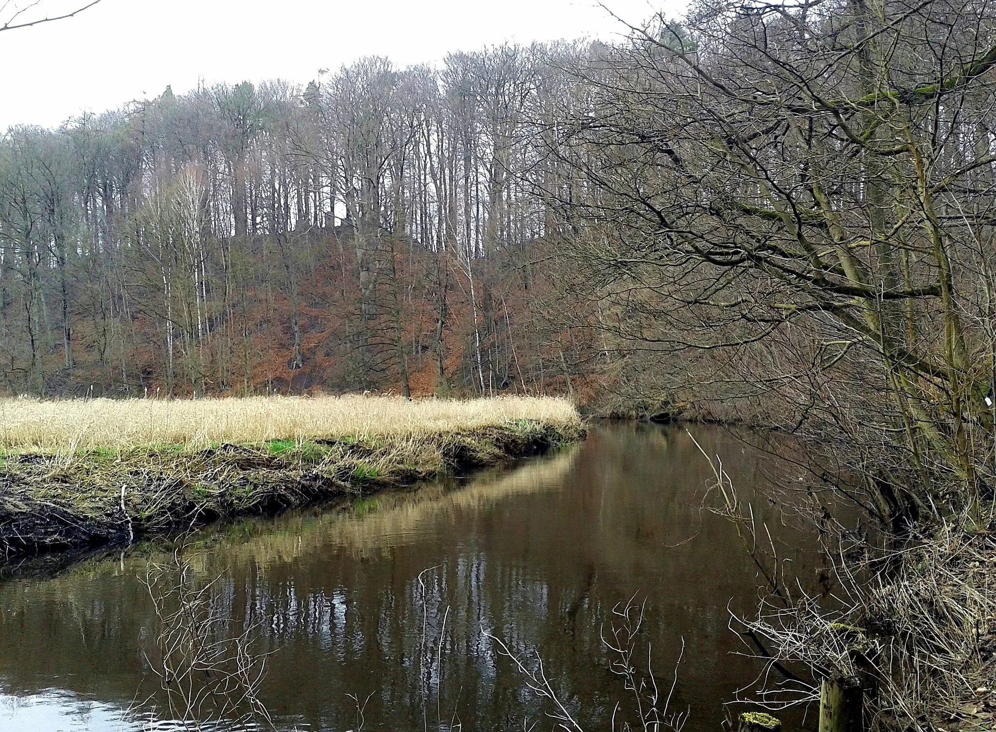 Photo showing: Steep banks of river Boehme in Bad Fallingbostel, Lower Saxony, Germany (Lueneburg Heath)