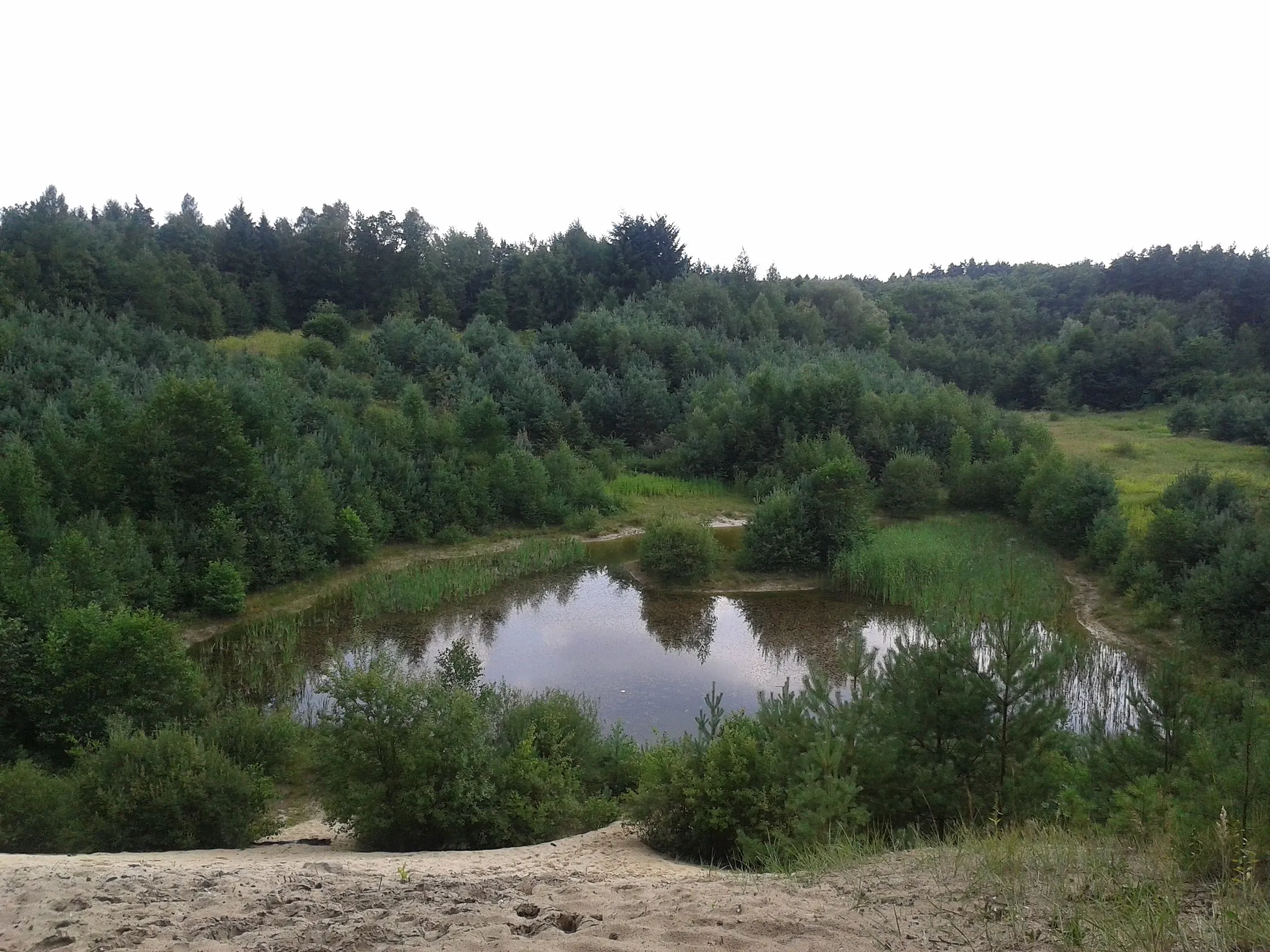 Photo showing: Versteckter See im Schutzgebiet Eibia/ Lohheide in Bomlitz bei Walsrode