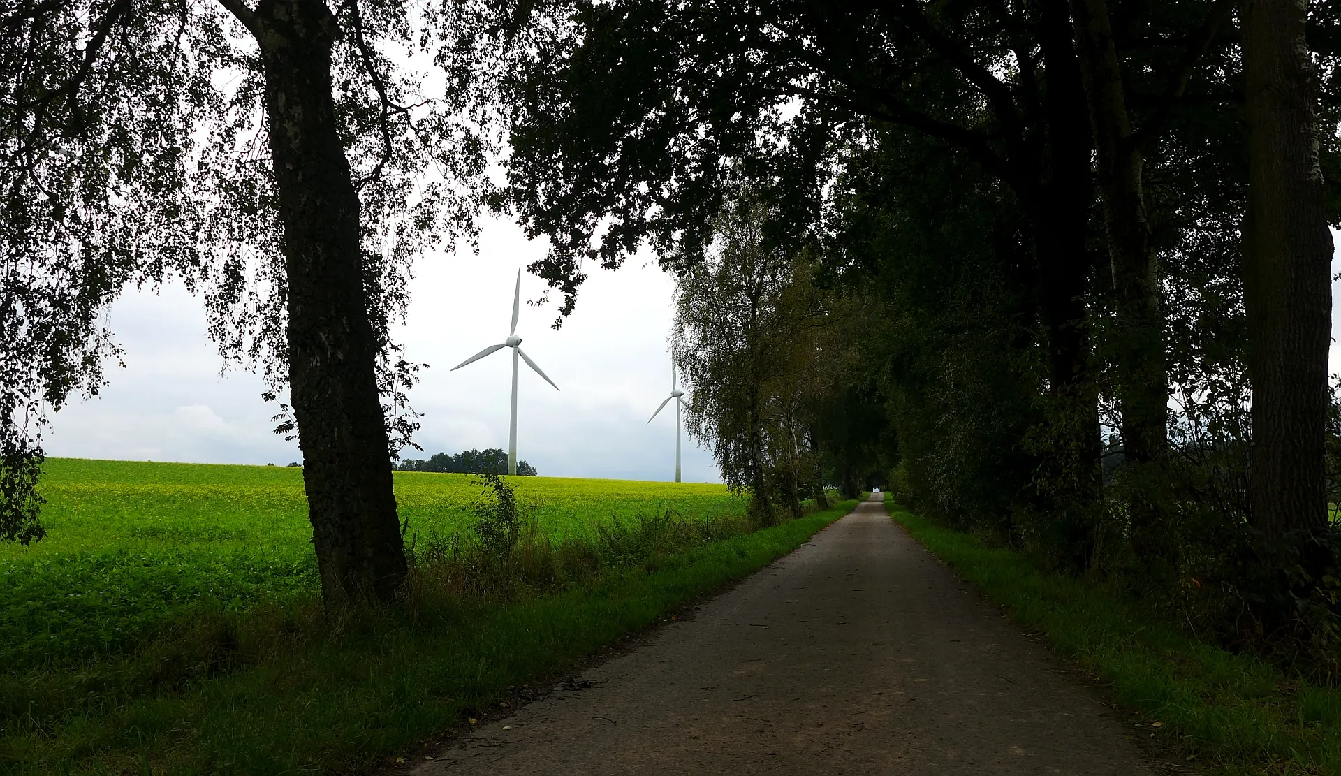 Photo showing: Wirtschaftsweg und Windkrafträder bei Jettebruch, einem Ortsteil von Bad Fallingbostel. Aufnahmedatum 2015-09.