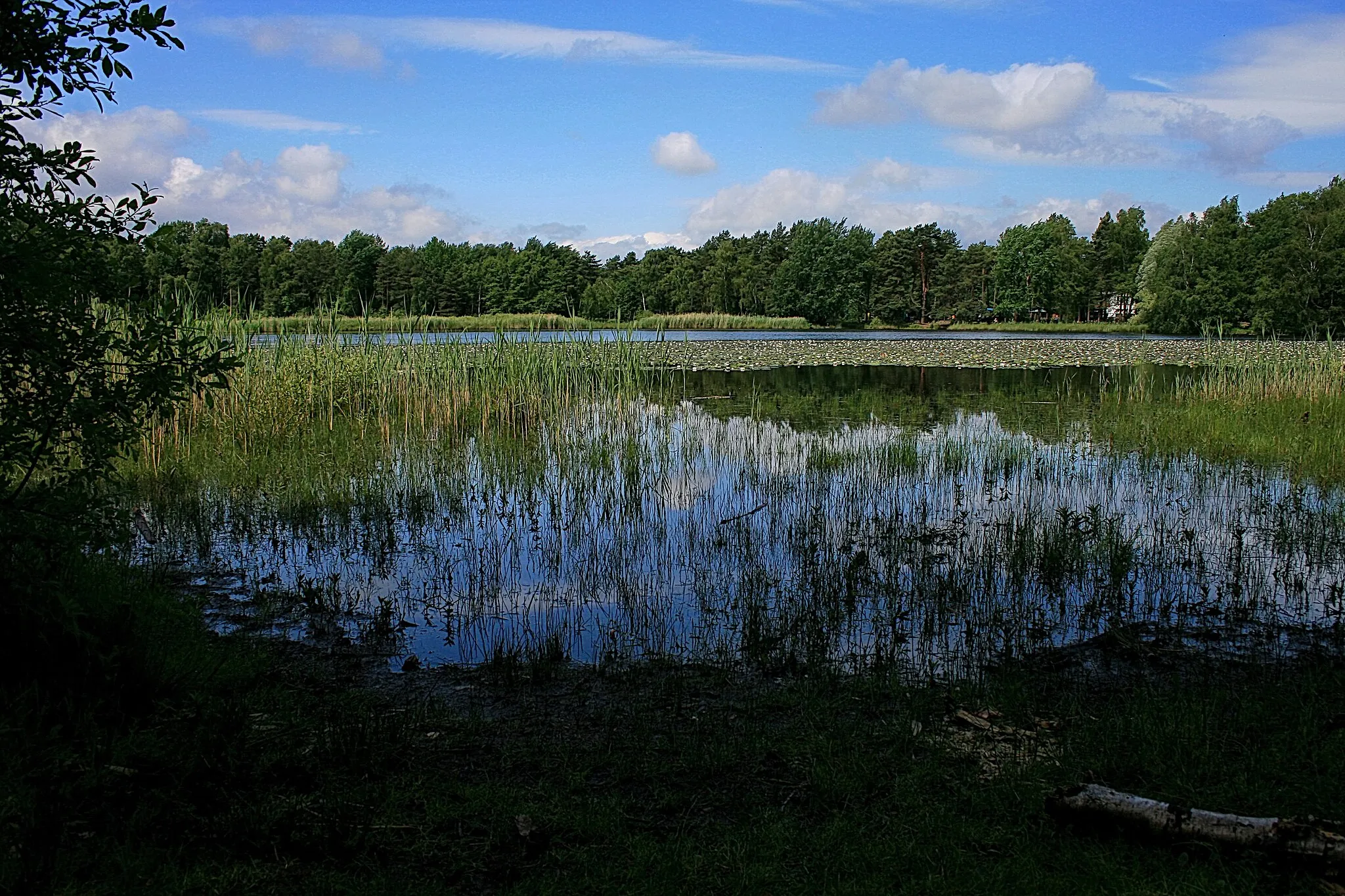 Photo showing: Würmsee in Kleinburgwedel (Burgwedel), Niedersachsen, Deutschland