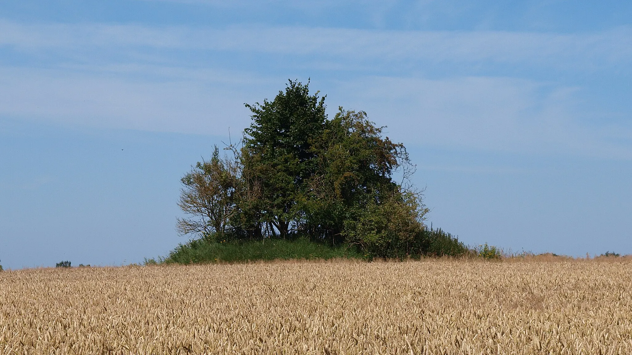 Photo showing: Bronze Age tumulus Backelsberg or Baaksberg near village Daensen near Buxtehude, Landkreis Stade, Lower Saxony, Germany. The folding chair of Daensen has been found in this tumulus.