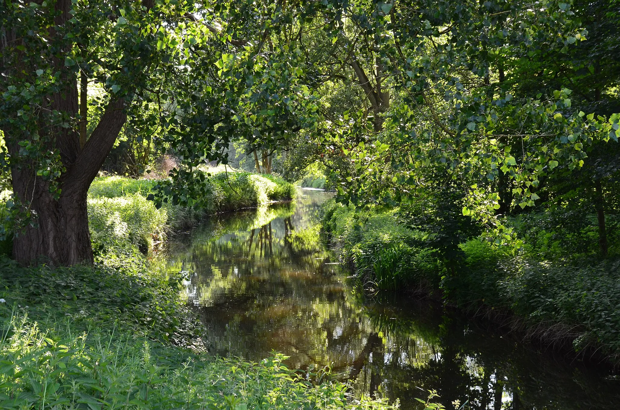 Photo showing: Die Aue in Harsefeld; Blickrichtung entgegen Fließrichtung