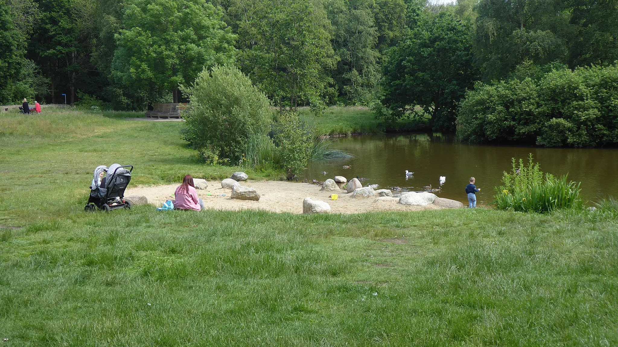 Photo showing: Park mit Erikasee in Bremerhaven-Leherheide