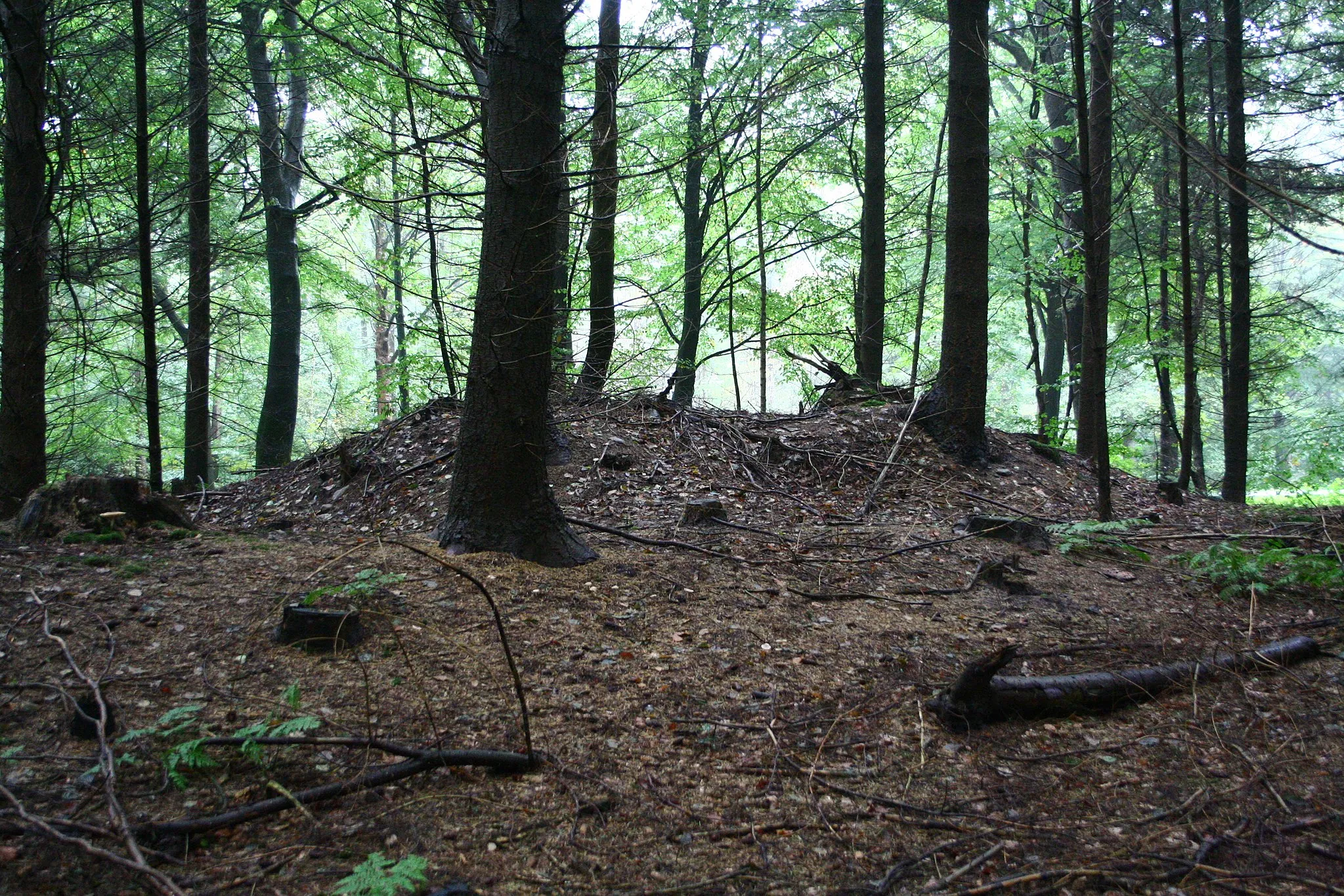 Photo showing: Megalithic tomb Drangstedt 1