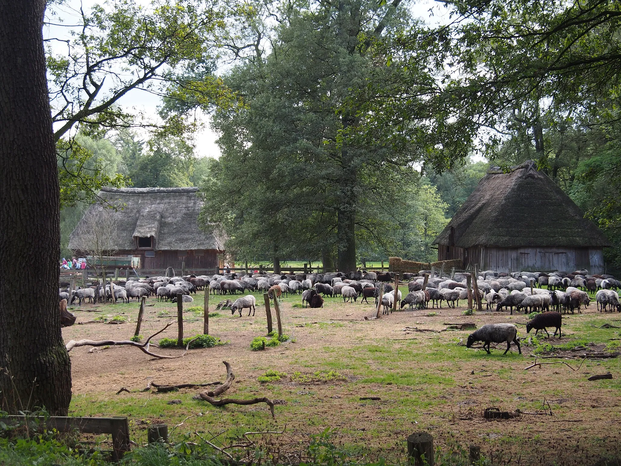 Photo showing: Heidschnucke sheep shed on the Lüneburg Heath near Niederohe in north Germany