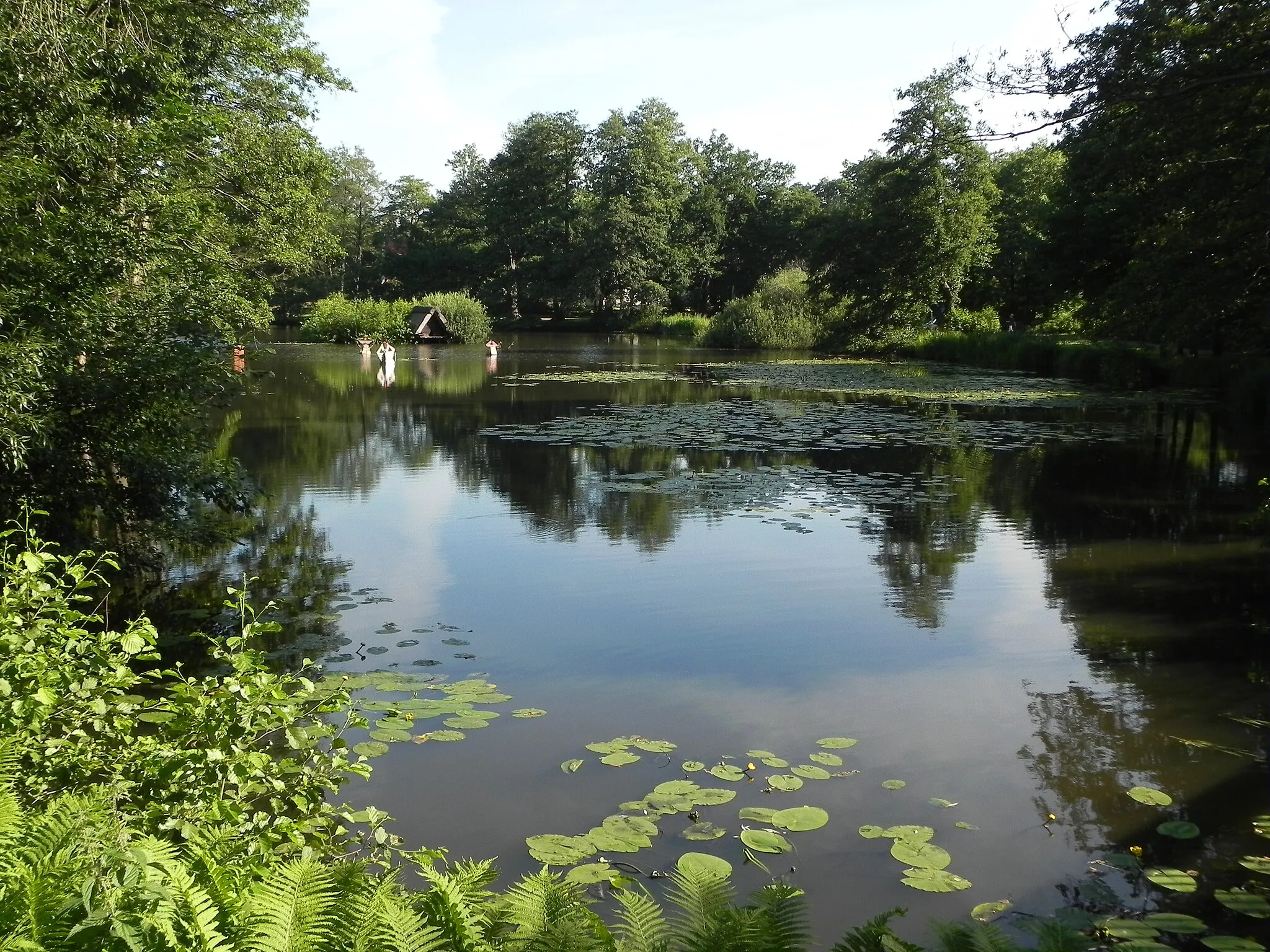 Photo showing: Mühlenteich in Munster (Örtze), Niedersachsen, Germany