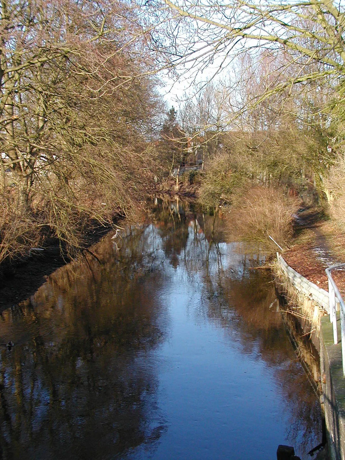 Photo showing: Der Neuhaus Bülkauer Kanal in Neuhaus (man(n) beachte den Graureiher in mitten der Stadt)