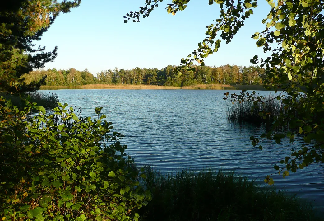 Photo showing: Würmsee Burgwedel