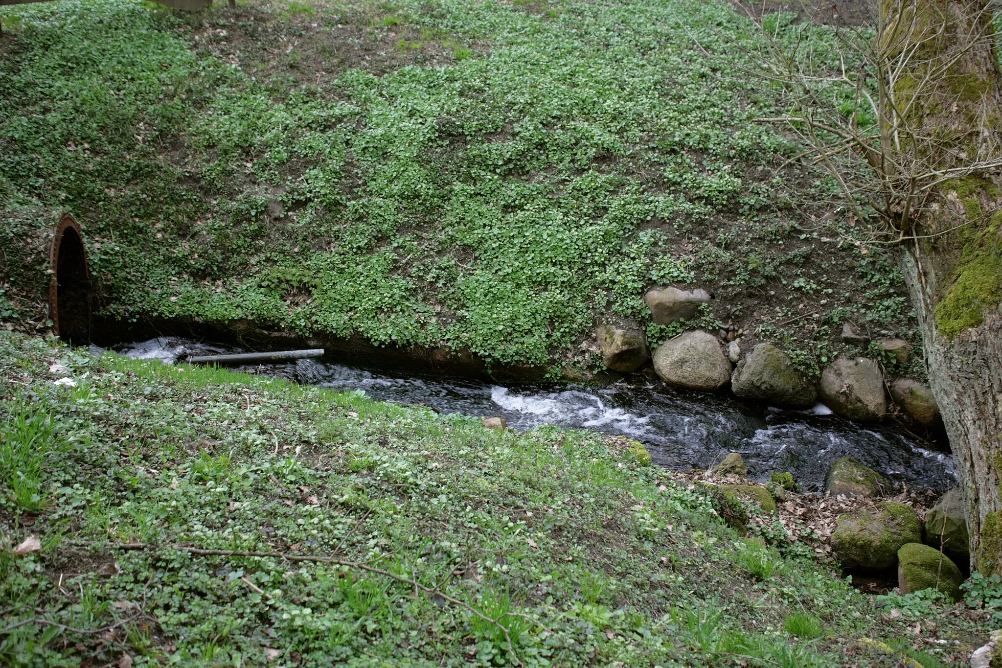 Photo showing: Streetzer Mühlenbach in Tripkau, Dannenberg (Elbe)